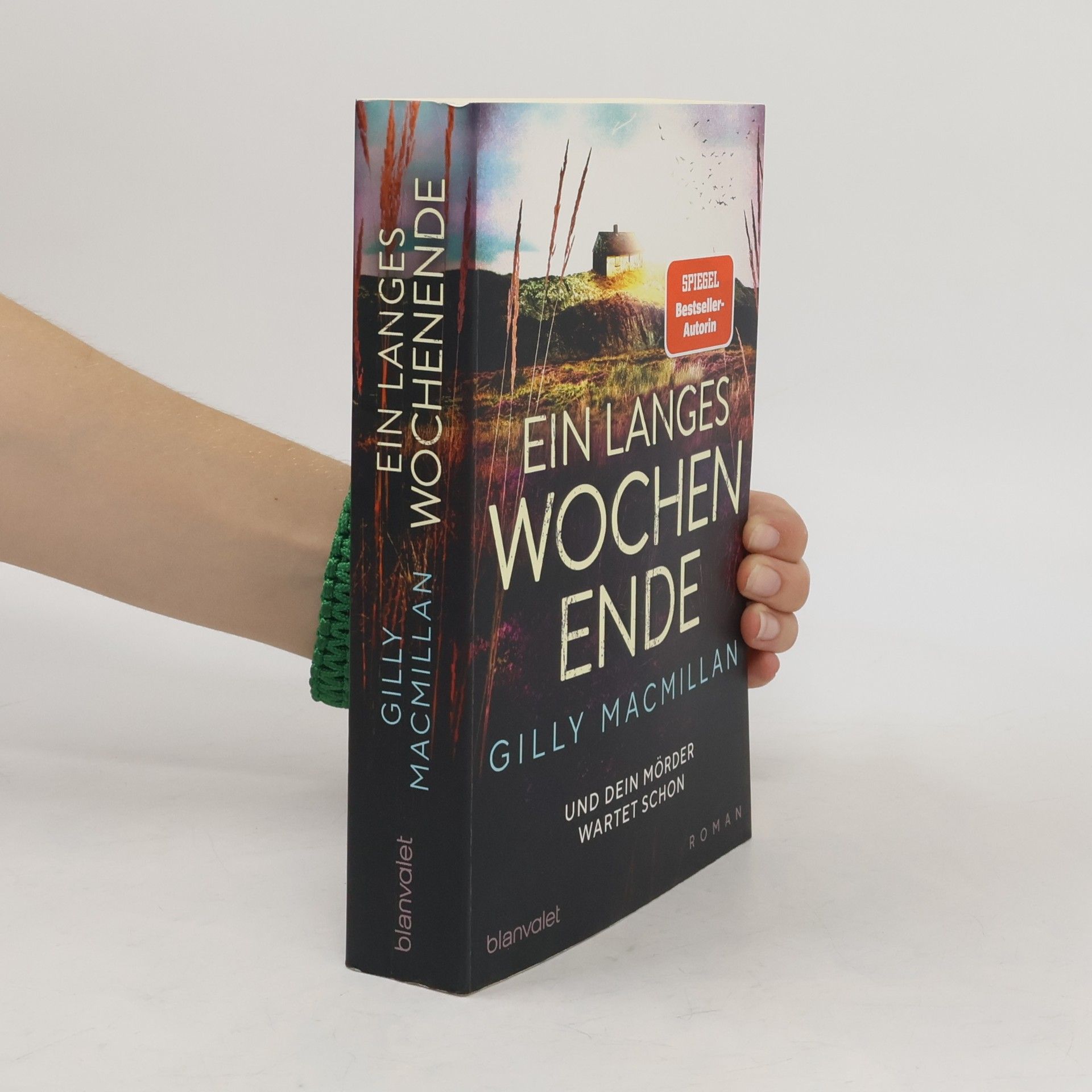 Gilly Macmillan Ein langes Wochenende