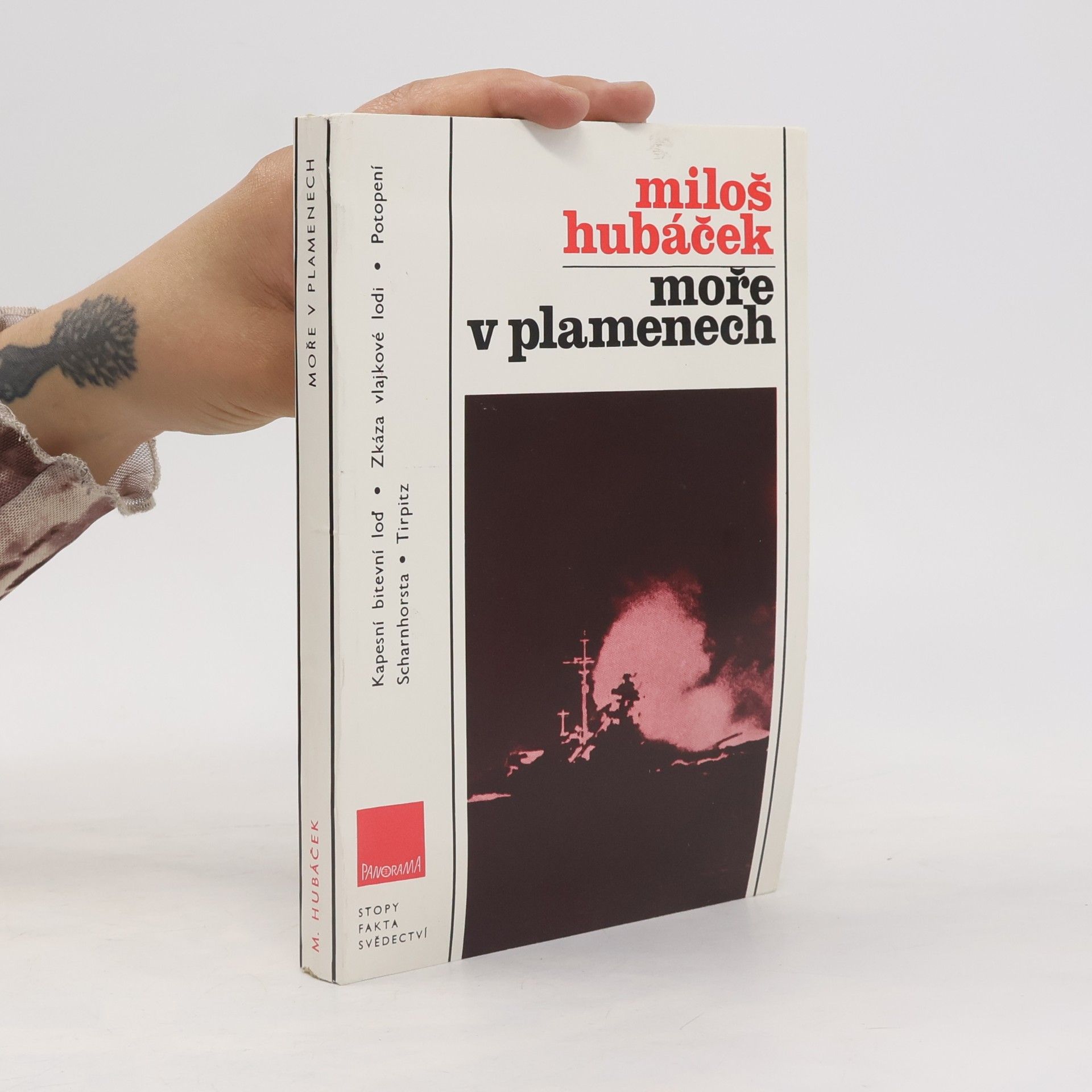 Miloš Hubáček Moře v plamenech