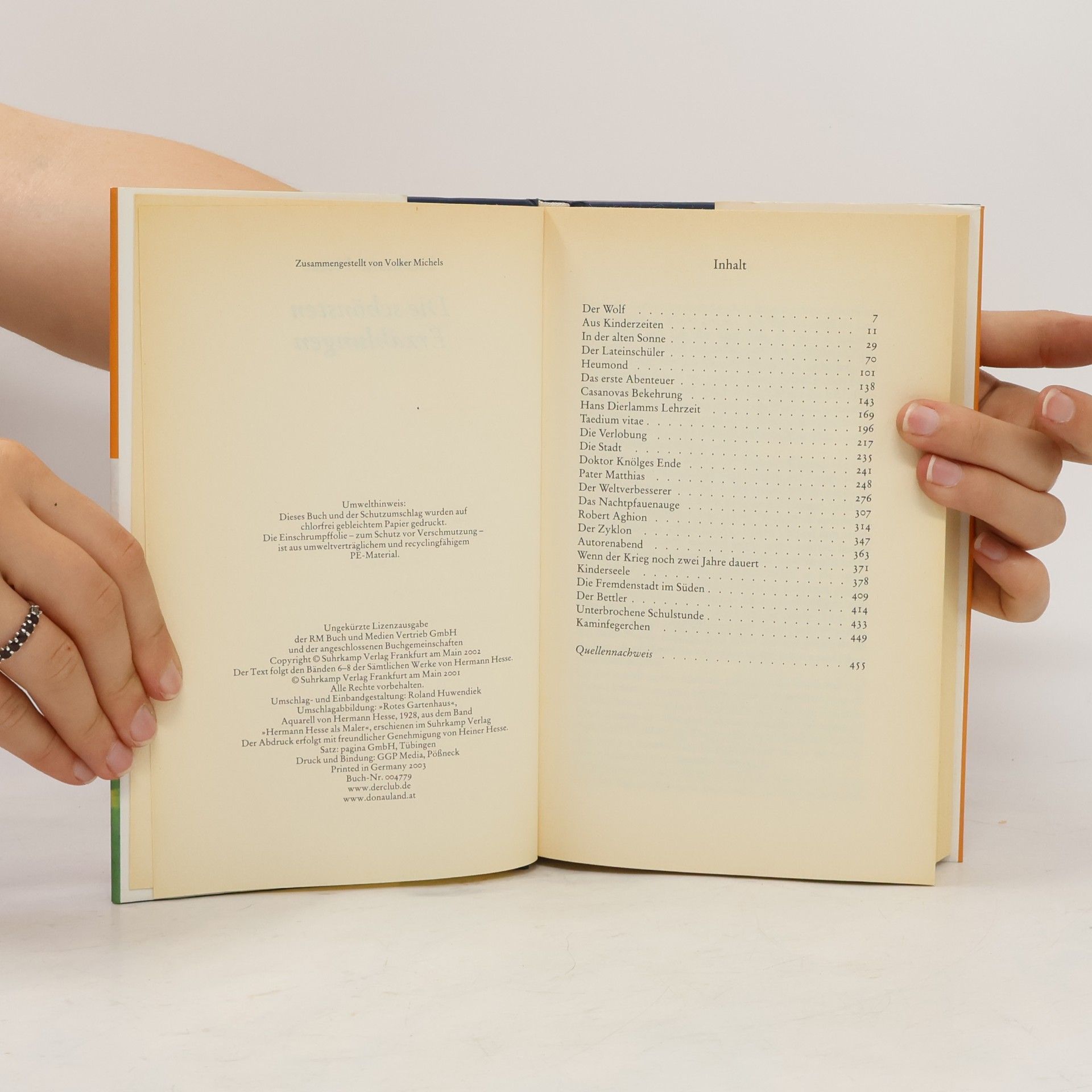 Hermann Hesse Die schönsten Erzählungen