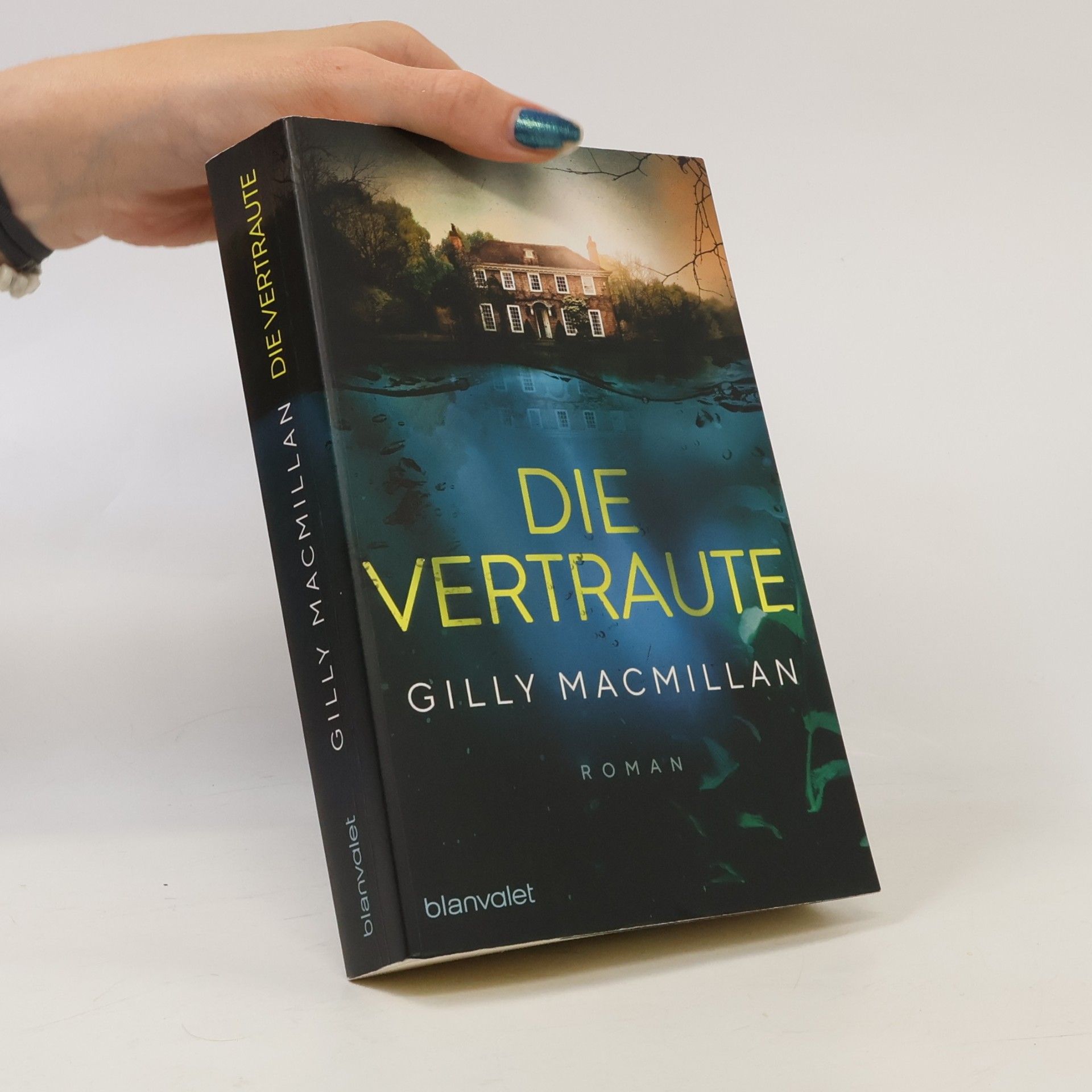 Gilly Macmillan Die Vertraute
