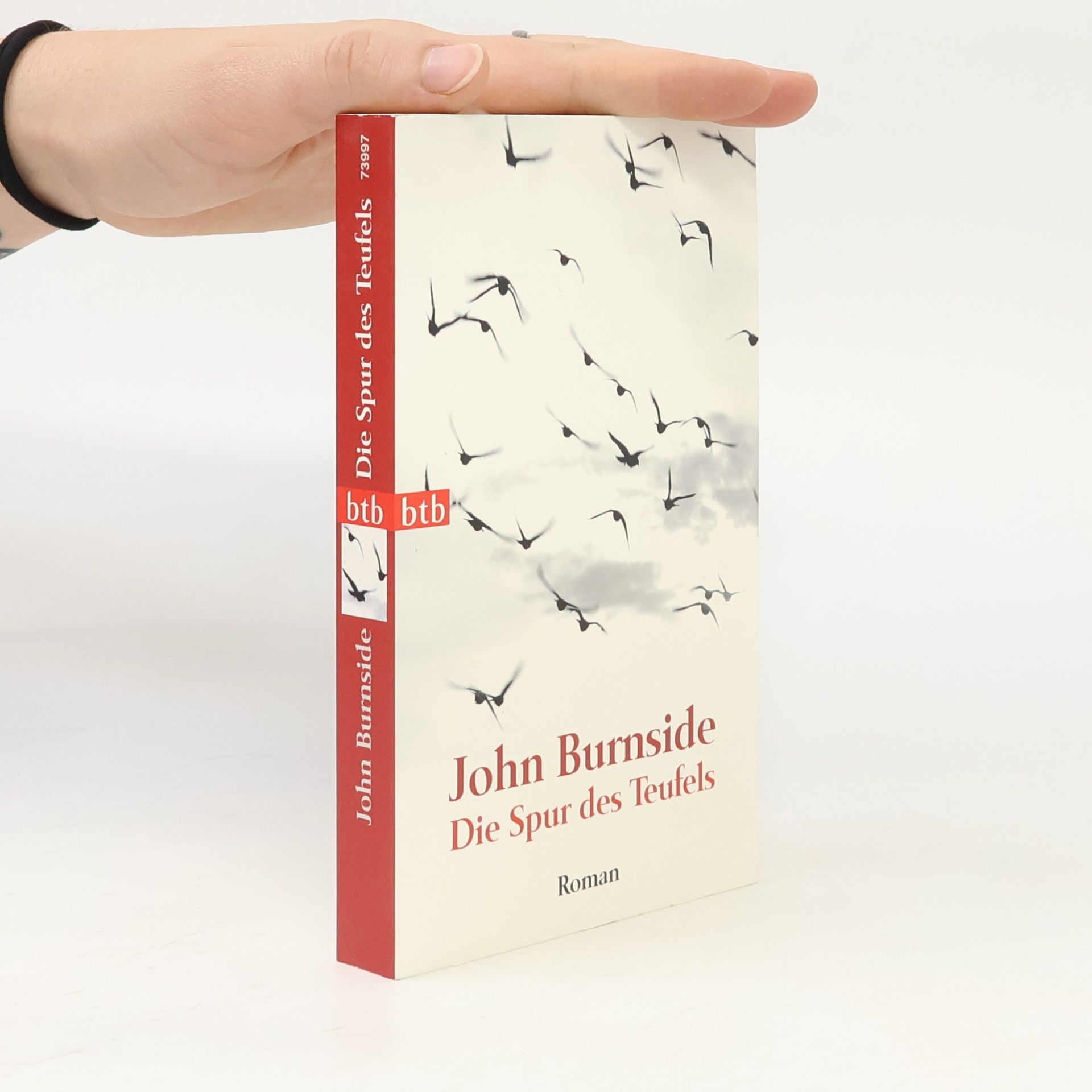 John Burnside Die Spur des Teufels