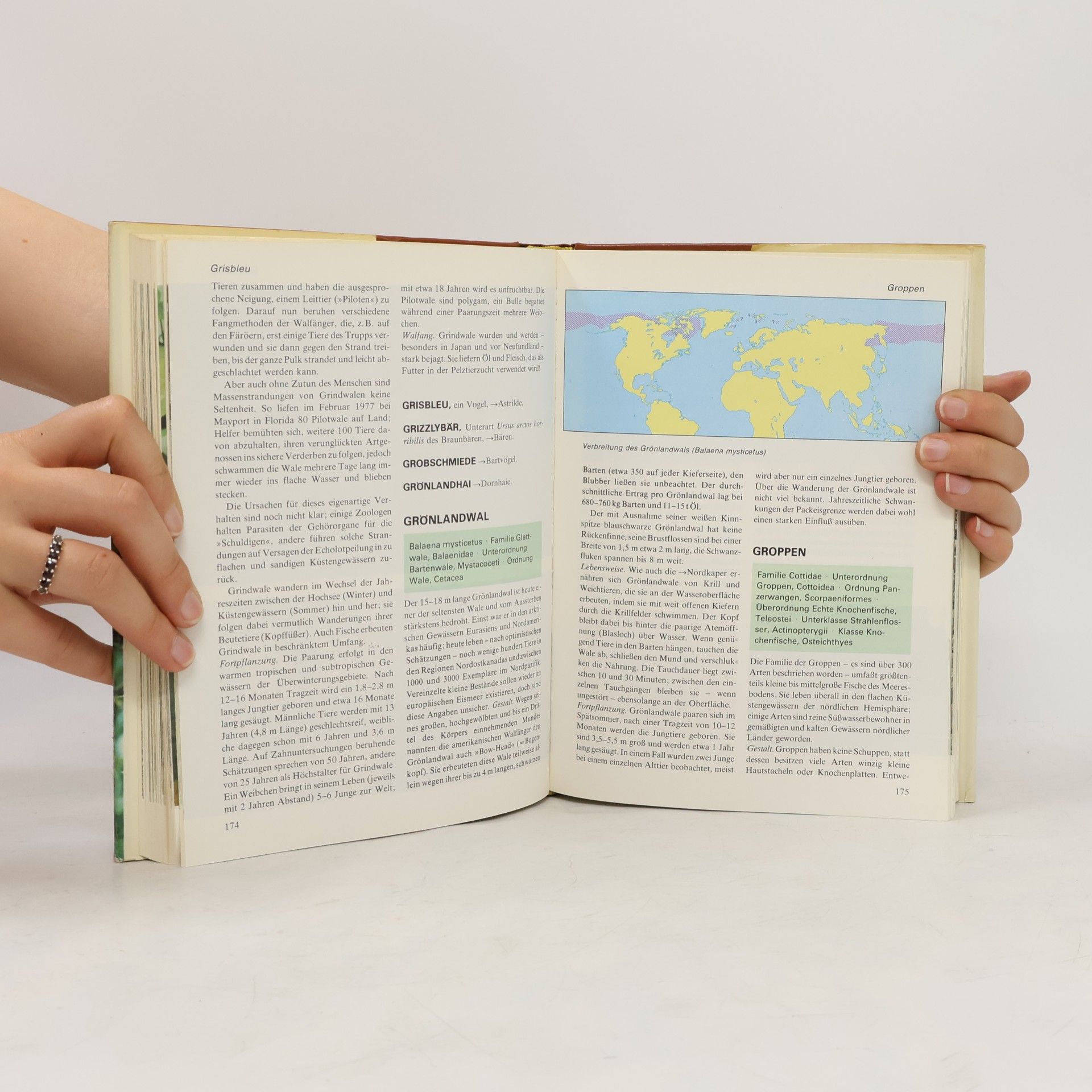 Autorenkollektiv Das moderne Tierlexikon 4. Geb-Herí