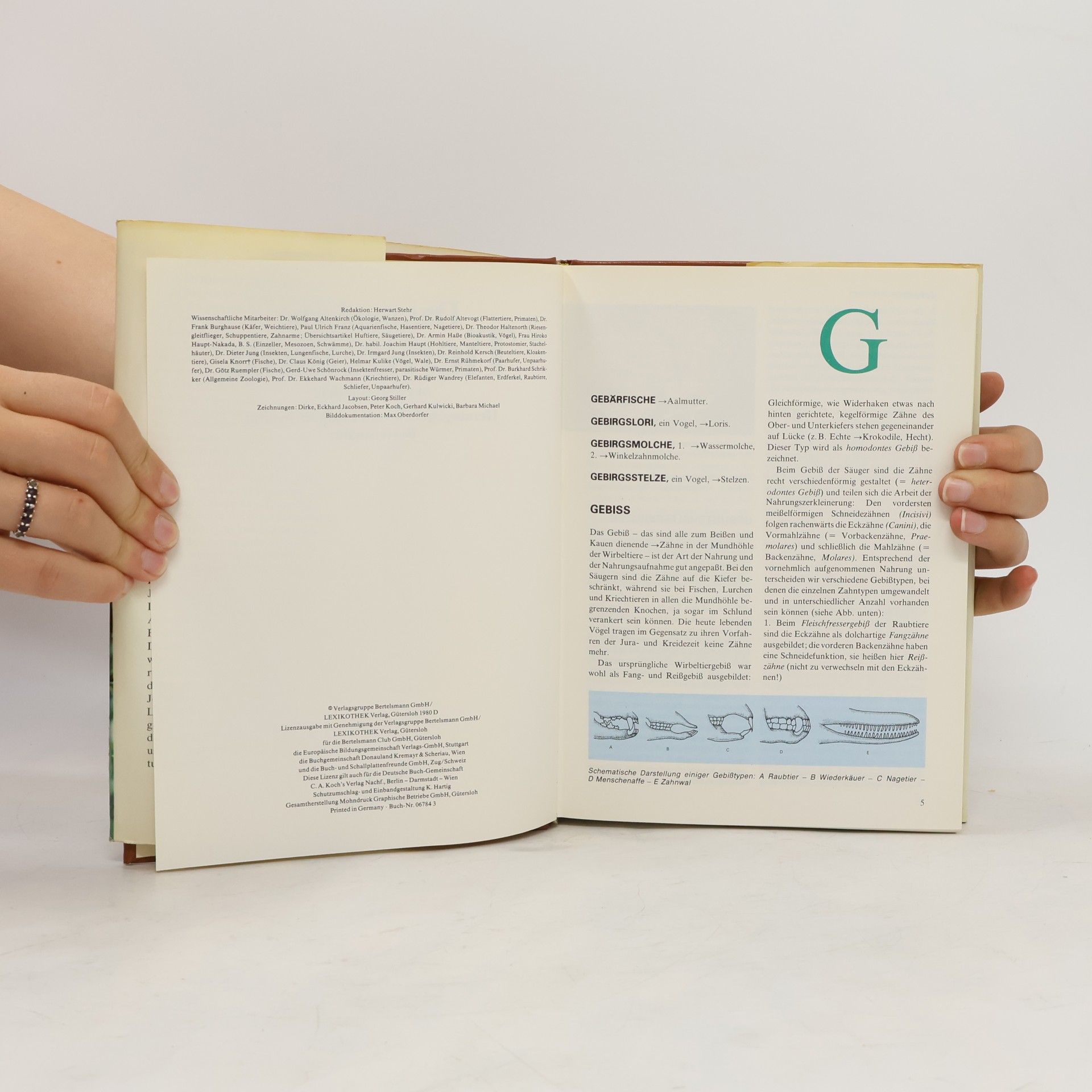 Autorenkollektiv Das moderne Tierlexikon 4. Geb-Herí