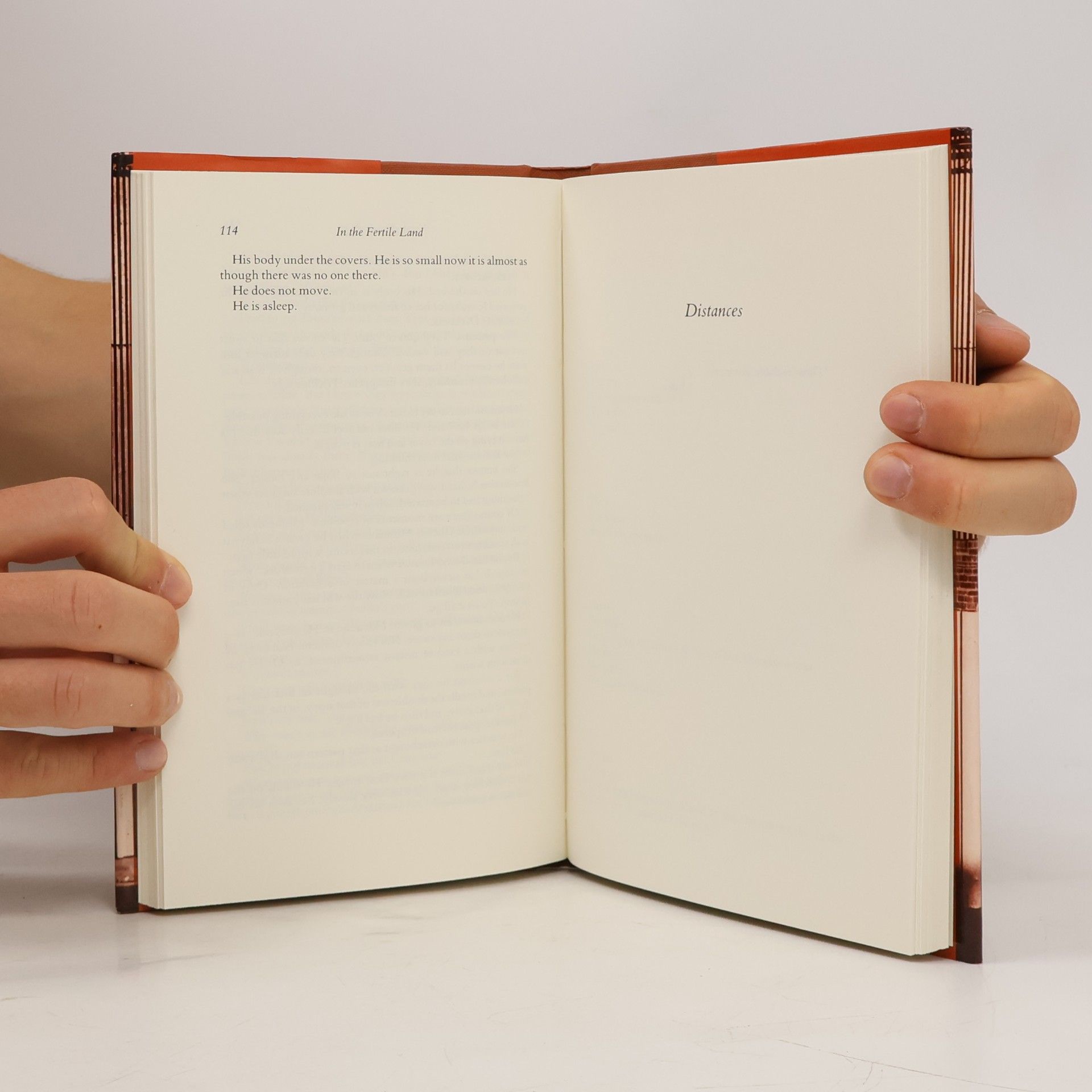 Gabriel Josipovici In the Fertile Land