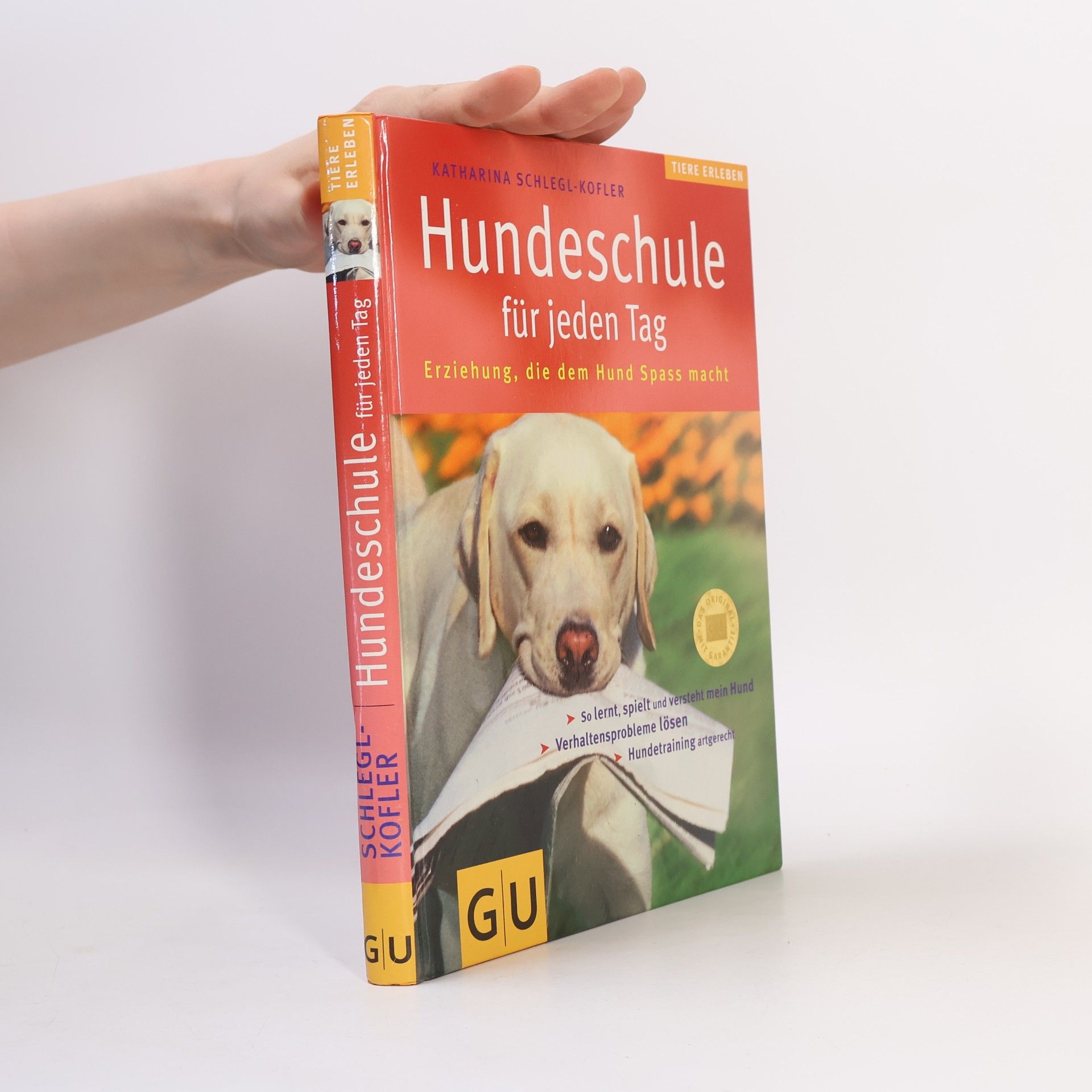 Katharina Schleg Kofler Hundeschule für jeden Tag