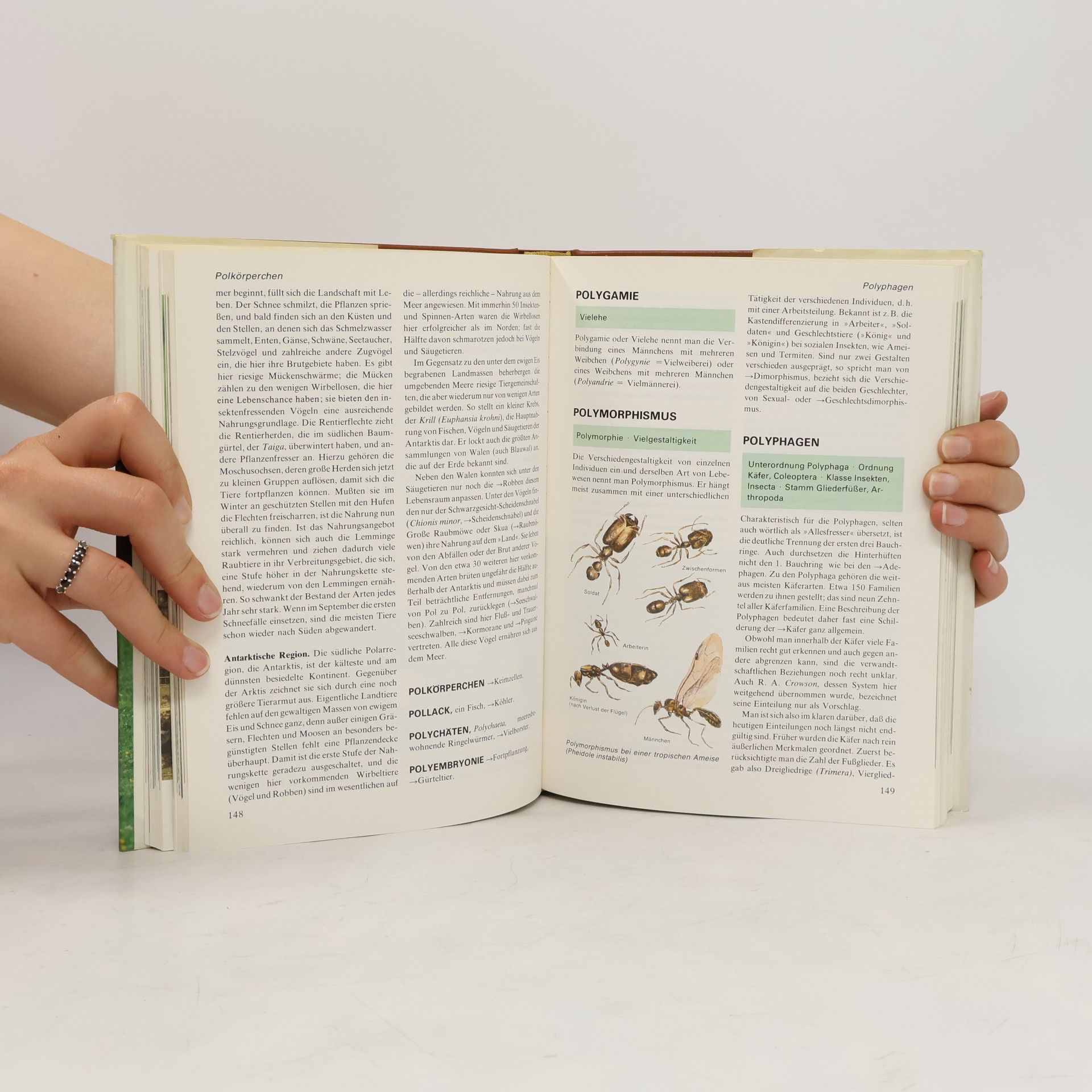 Autorenkollektiv Das moderne Tierlexikon 8. Ona-Rog
