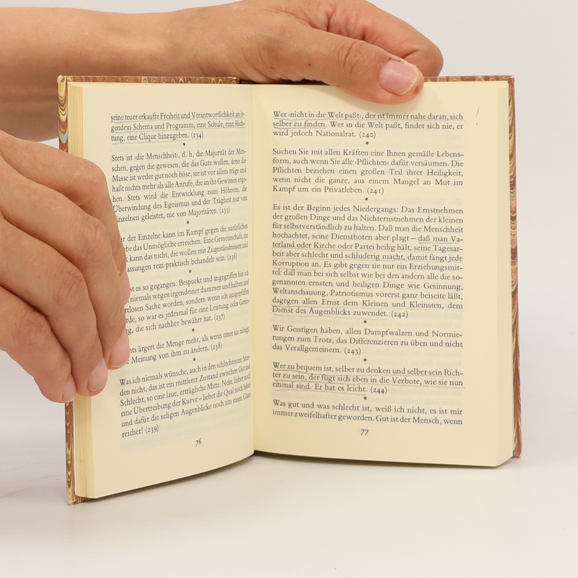 Hermann Hesse Lektüre für Minuten