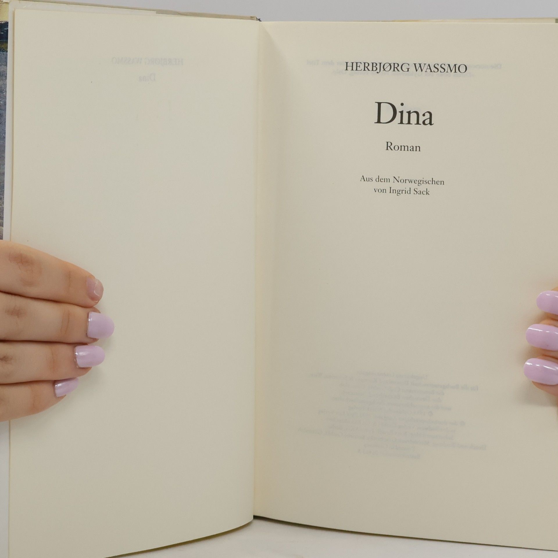 Herbjørg Wassmo Dina