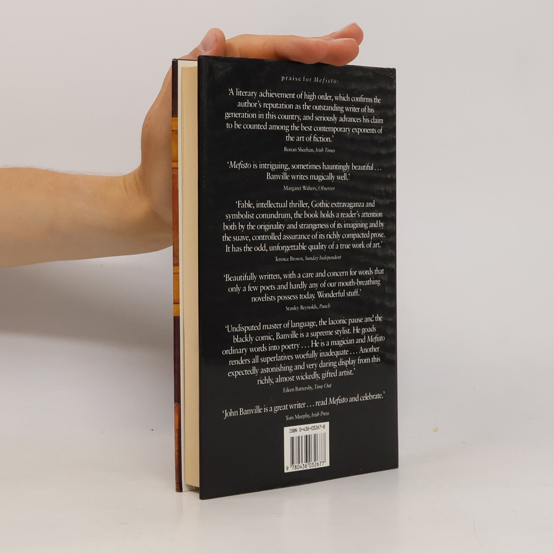 John Banville The book of evidence