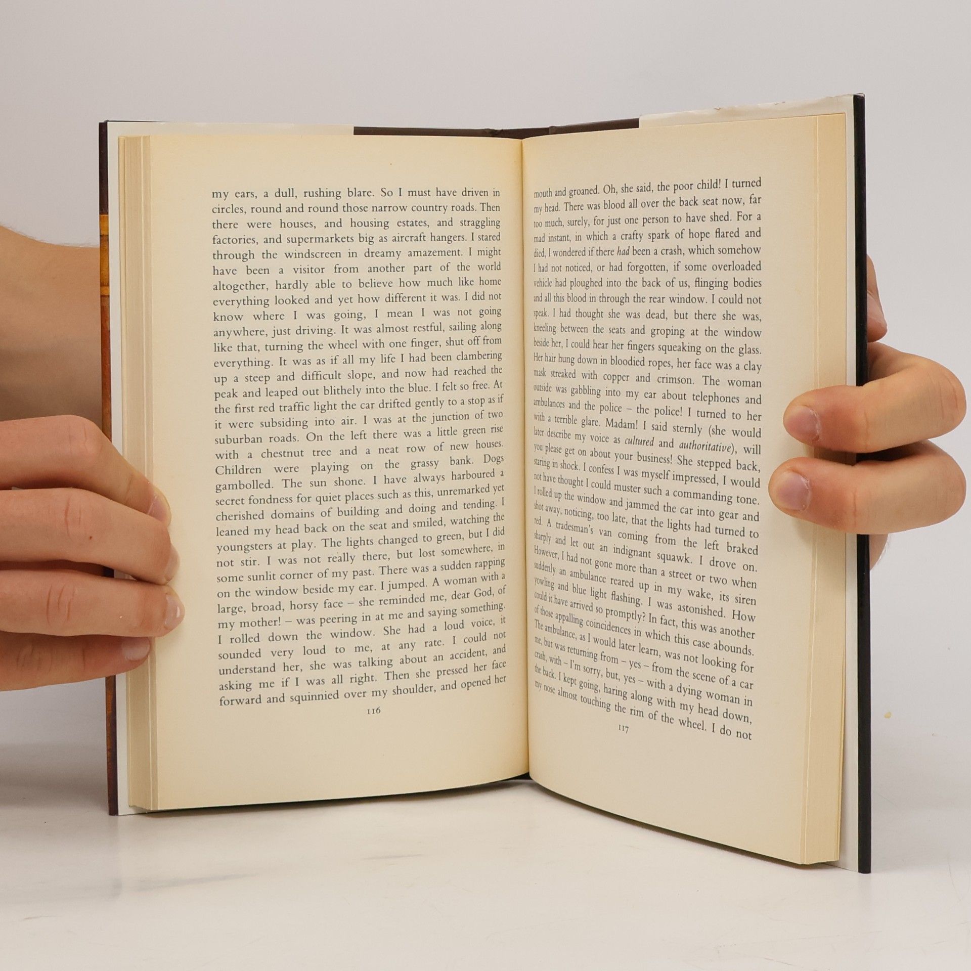 John Banville The book of evidence