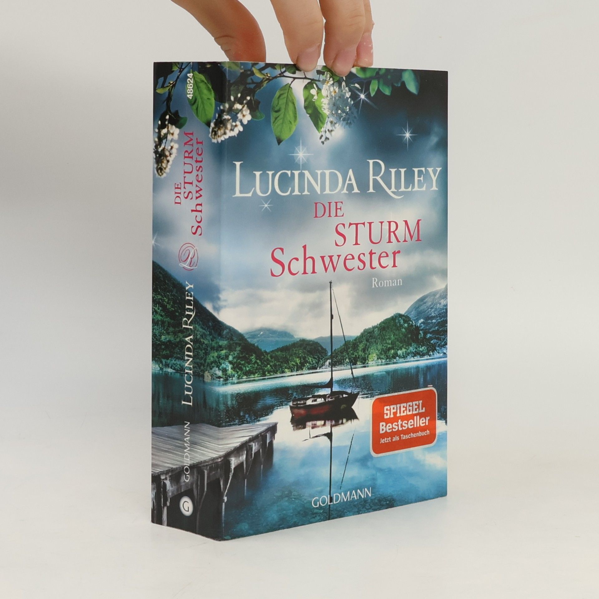 Lucinda Riley Die Sturmschwester