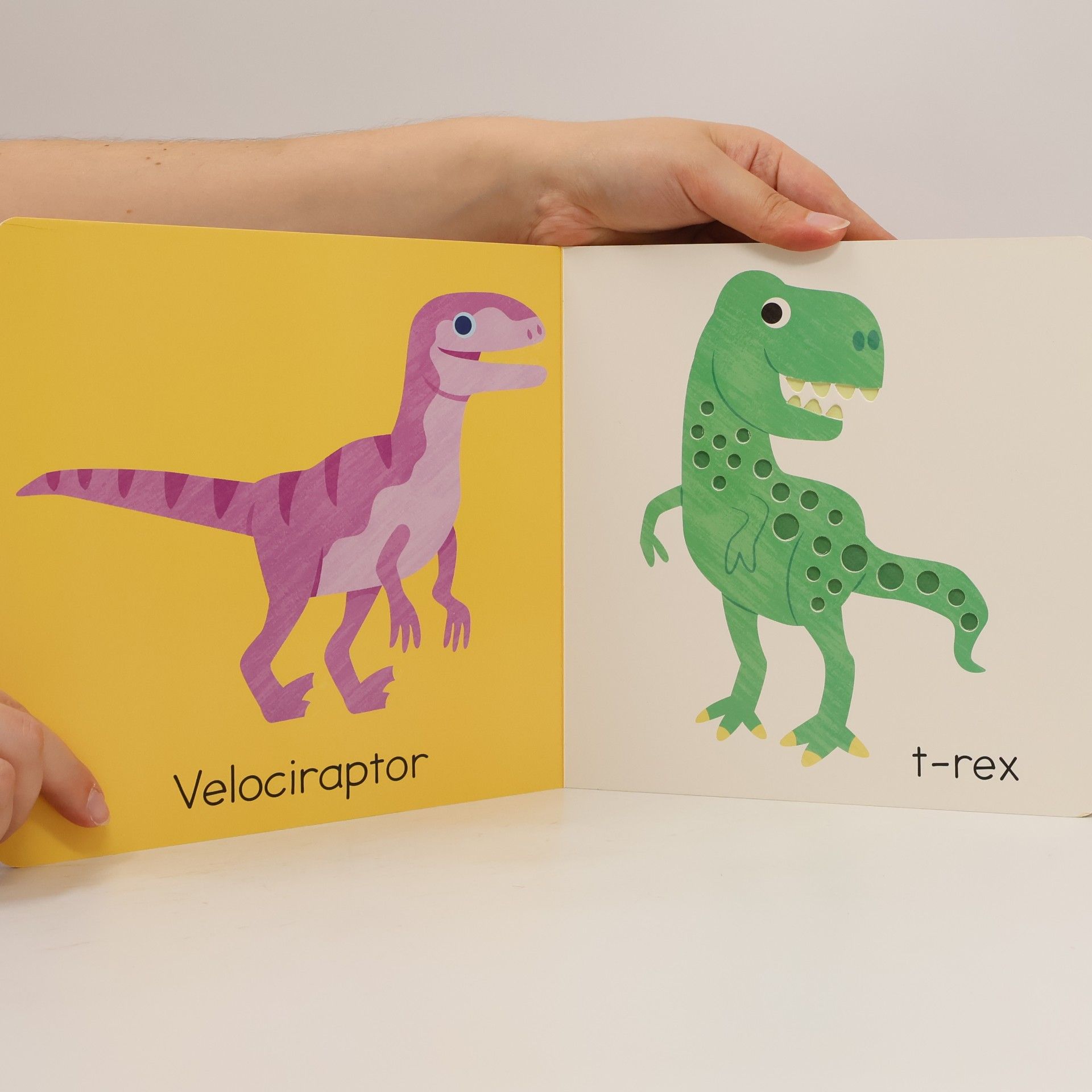 Fhiona Galloway Berühren und Fühlen Dinosaurier
