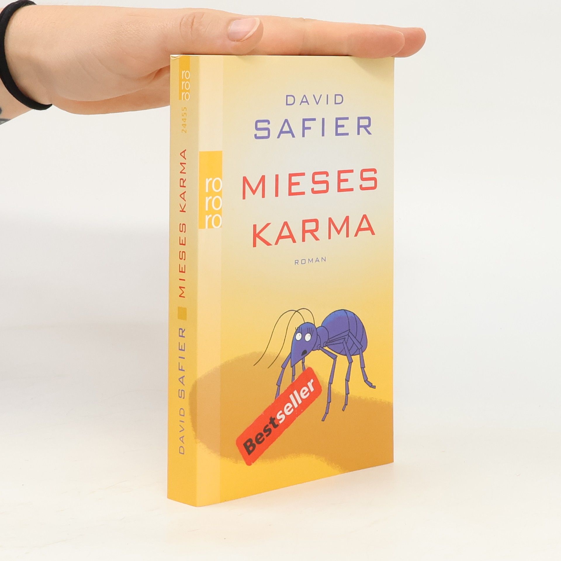 David Safier Mieses Karma