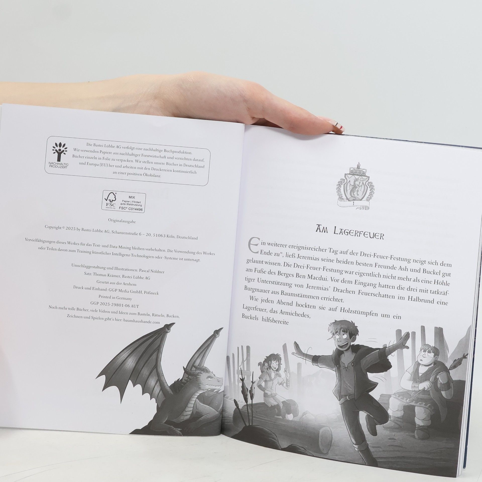 Emily Skye Die geheime Drachenschule. Die Fährende Bibliothek