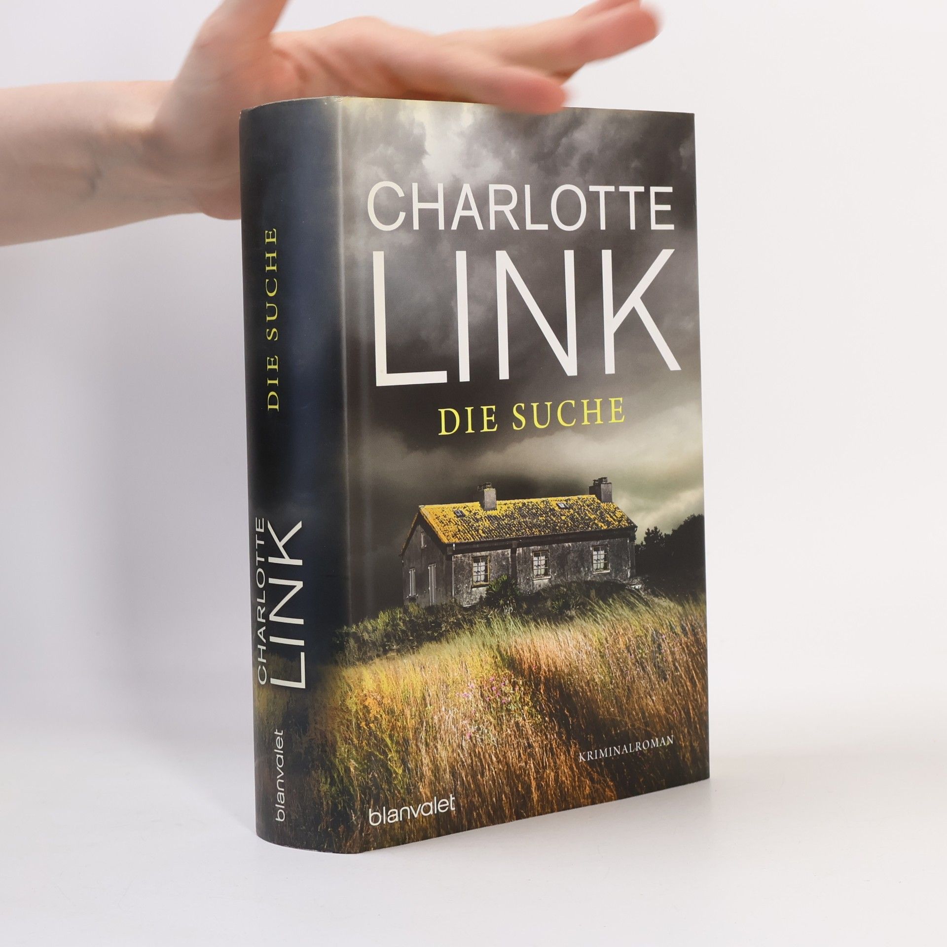 Charlotte Link Die Suche