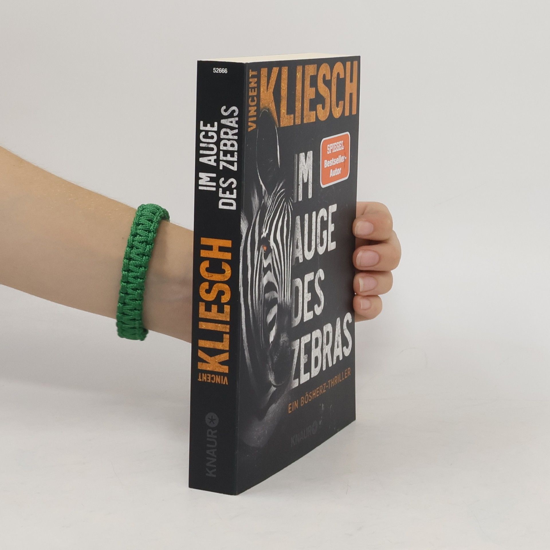 Vincent Kliesch Im Auge des Zebras