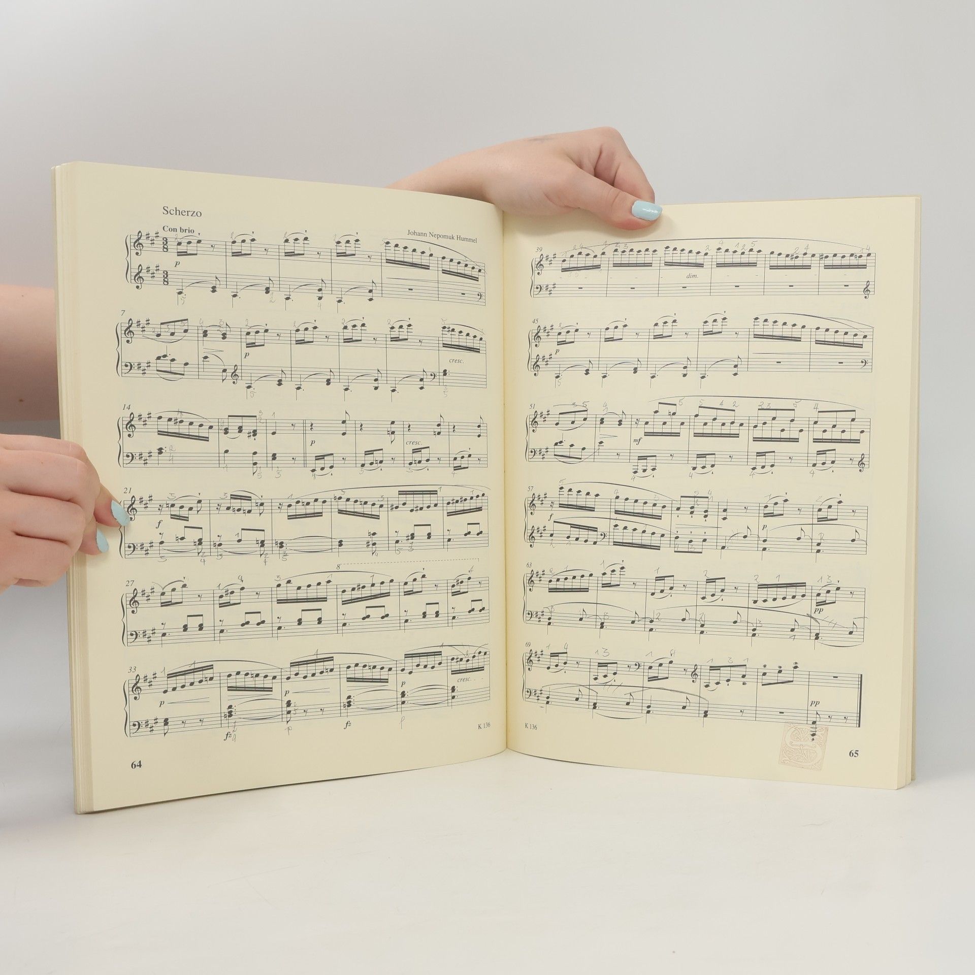 Franz Joseph Haydn First Concert Pieces / Erste Konzertstücke / Premières pièces de concert