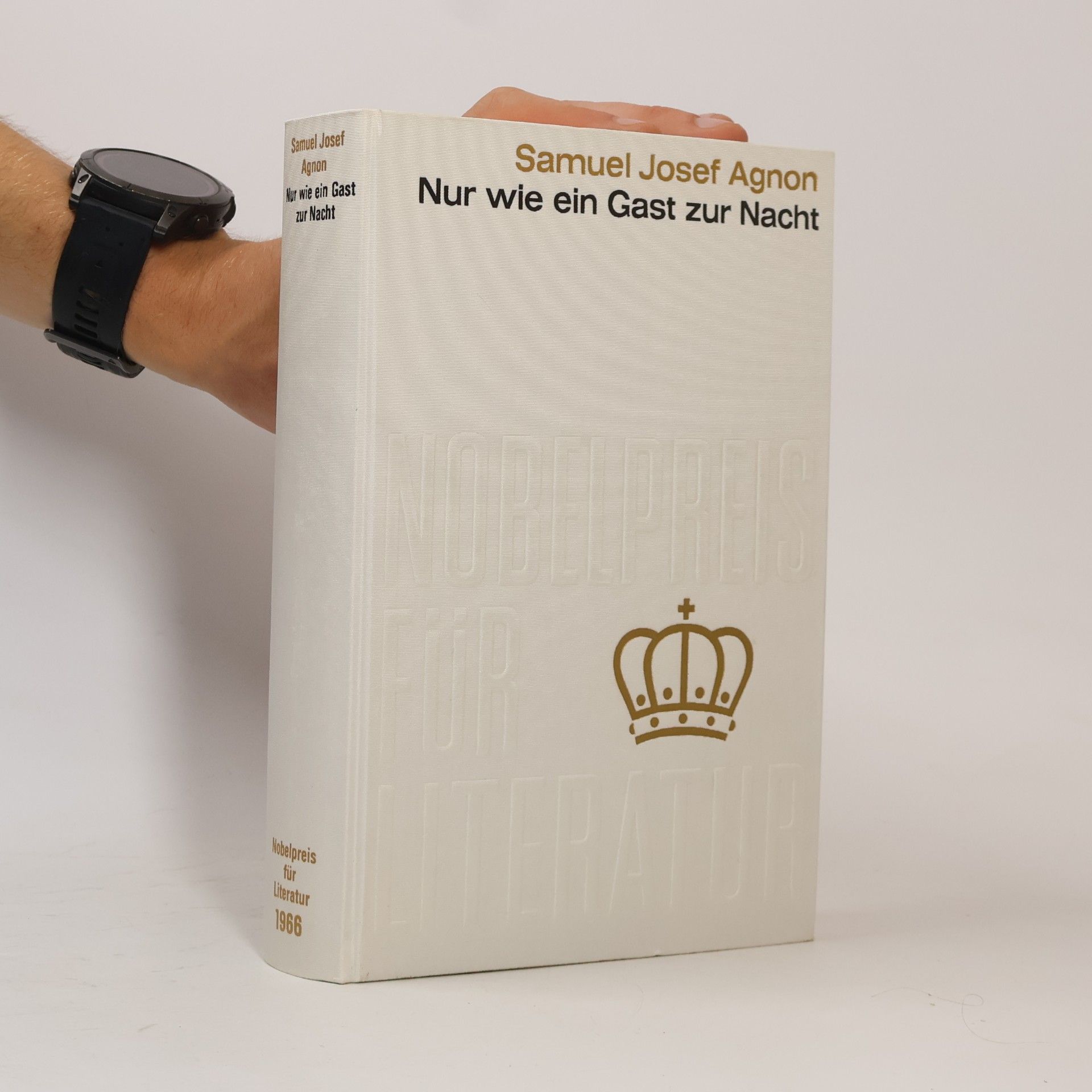 Šmuel Josef Agnon Nur wie ein Gast zur Nacht