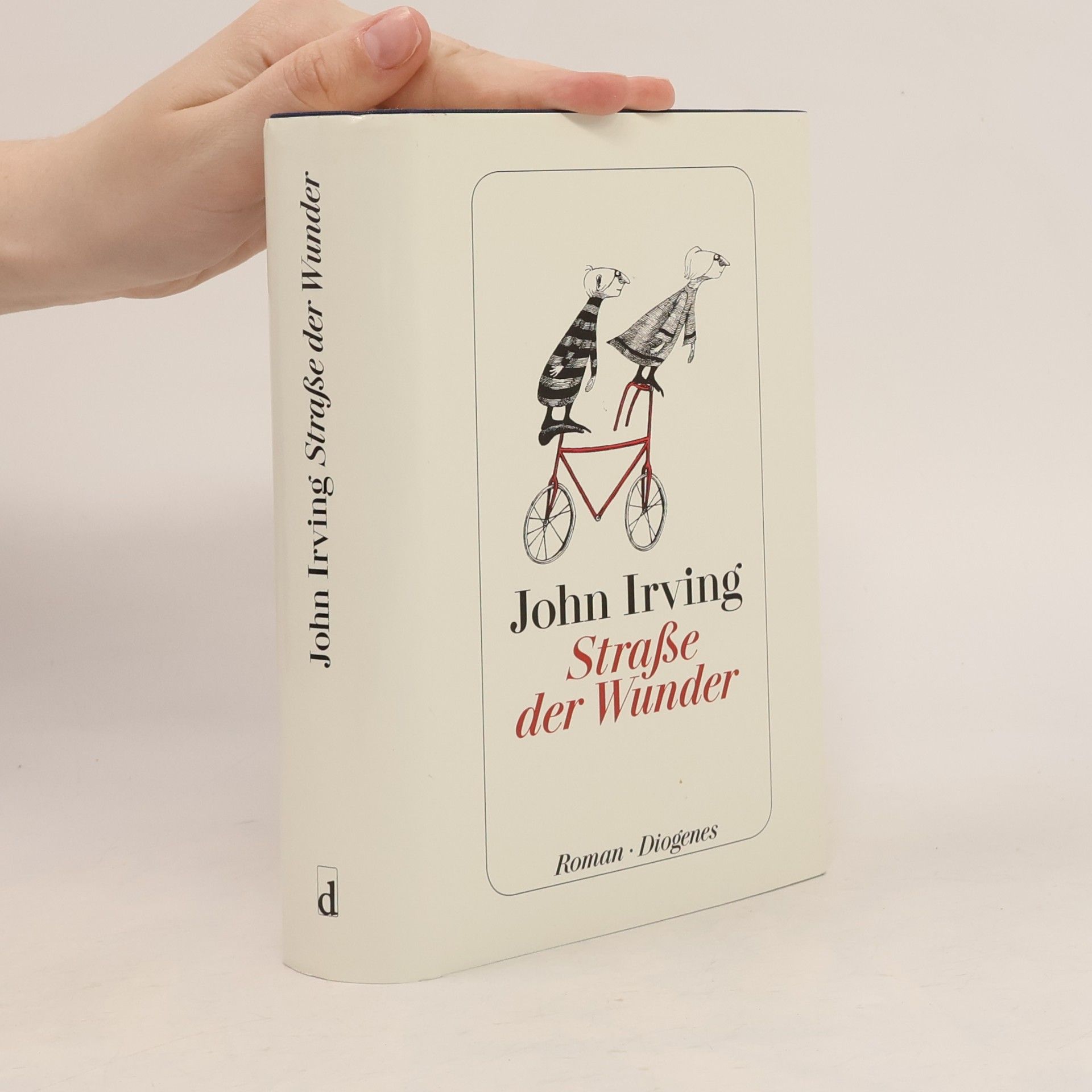 John Irving Straße der Wunder