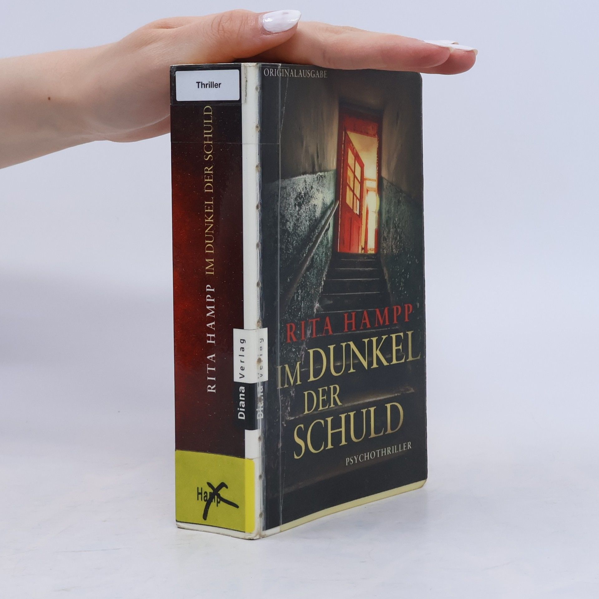 Rita Hampp Im Dunkel der Schuld