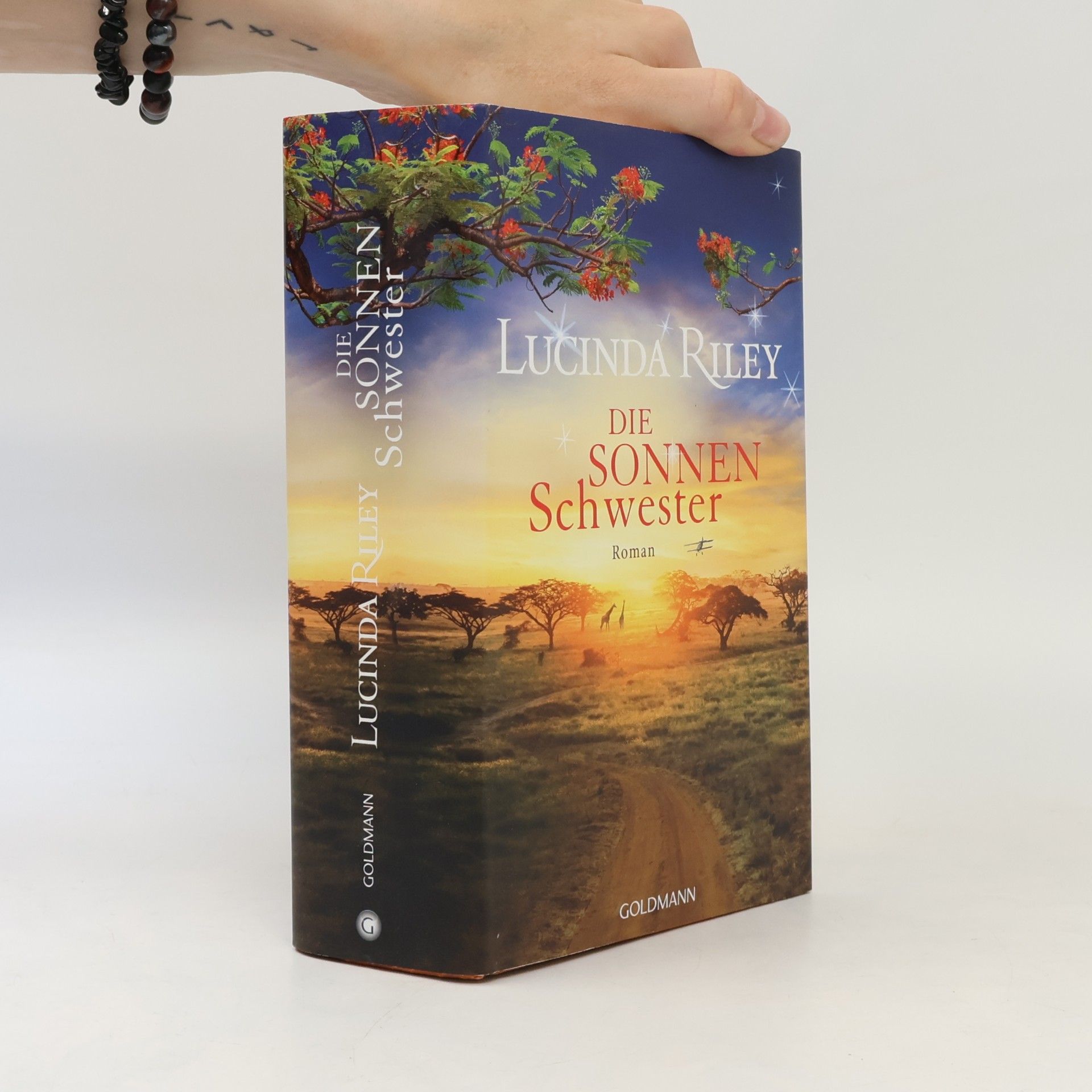 Lucinda Riley Die Sonnenschwester