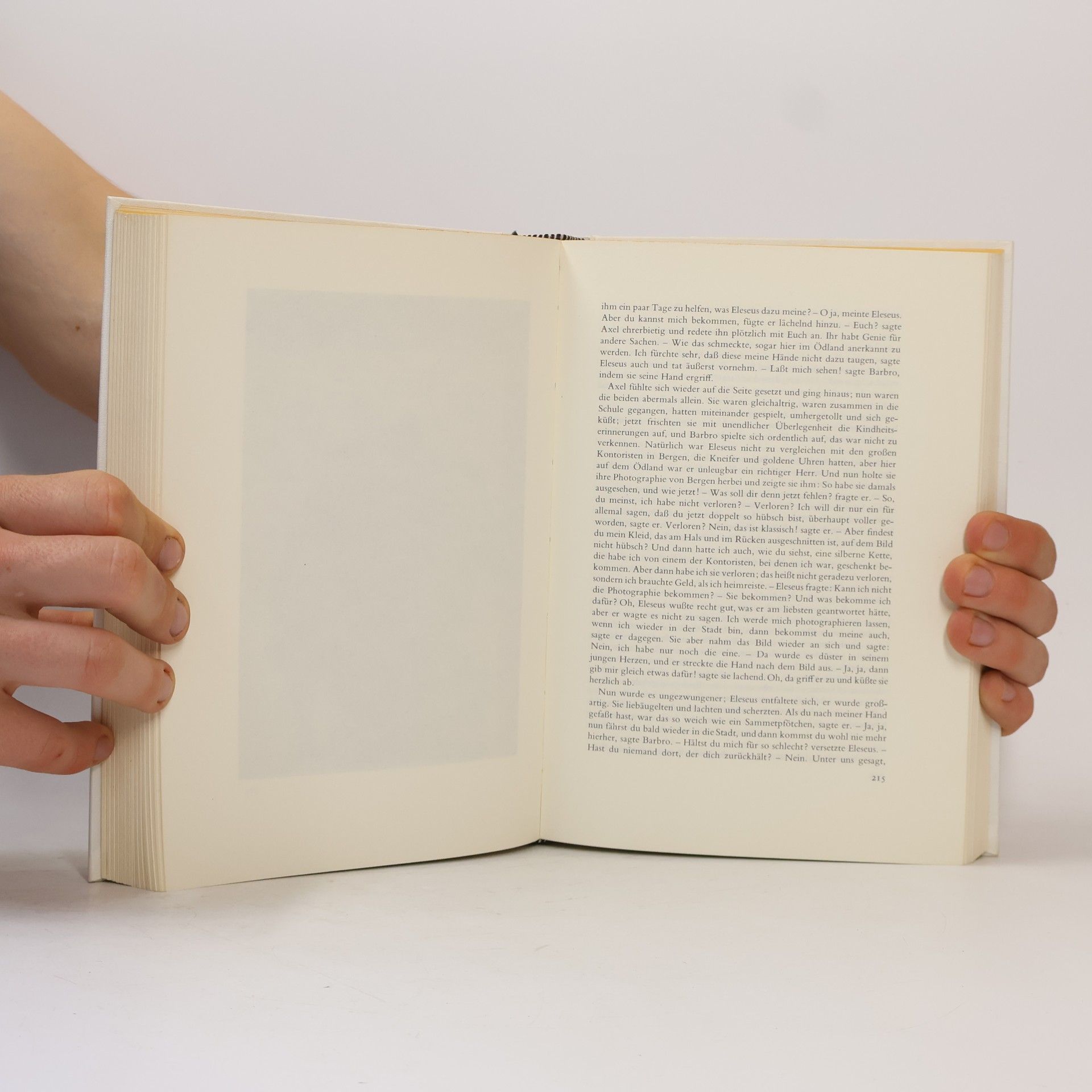 Knut Hamsun Segen der Erde
