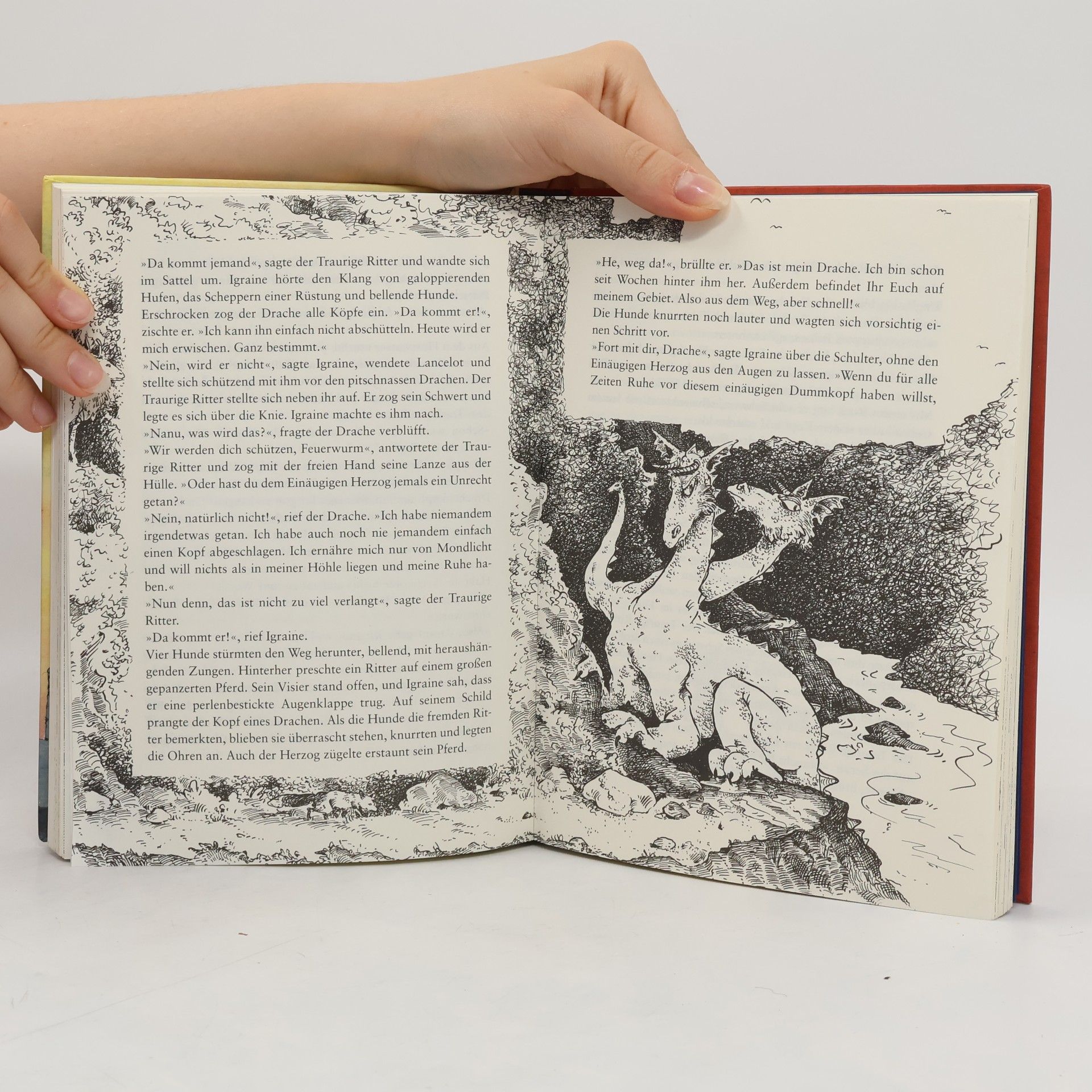 Cornelia Funke Igraine Ohnefurcht