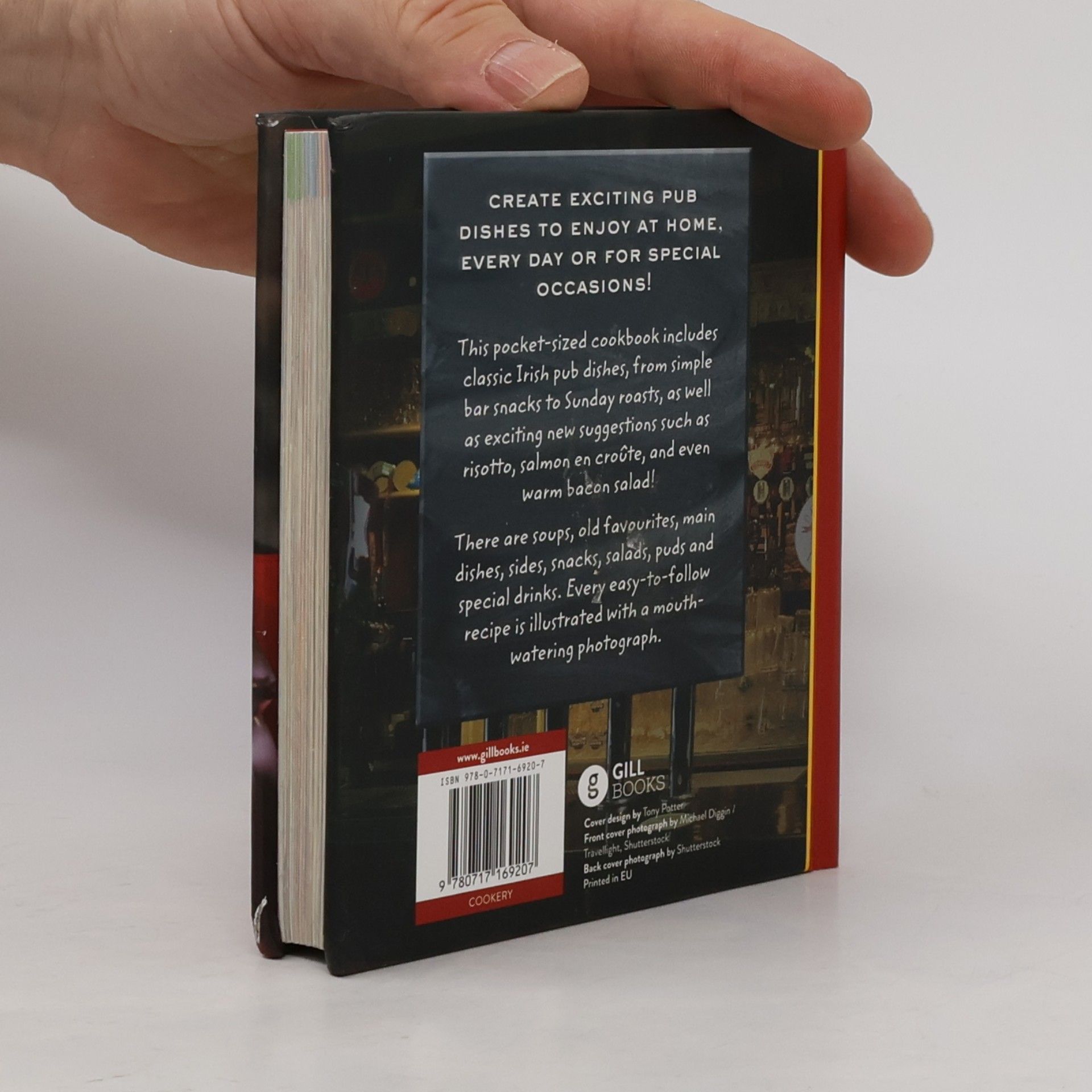 Fiona Biggs The Pocket Irish Pub Cookbook