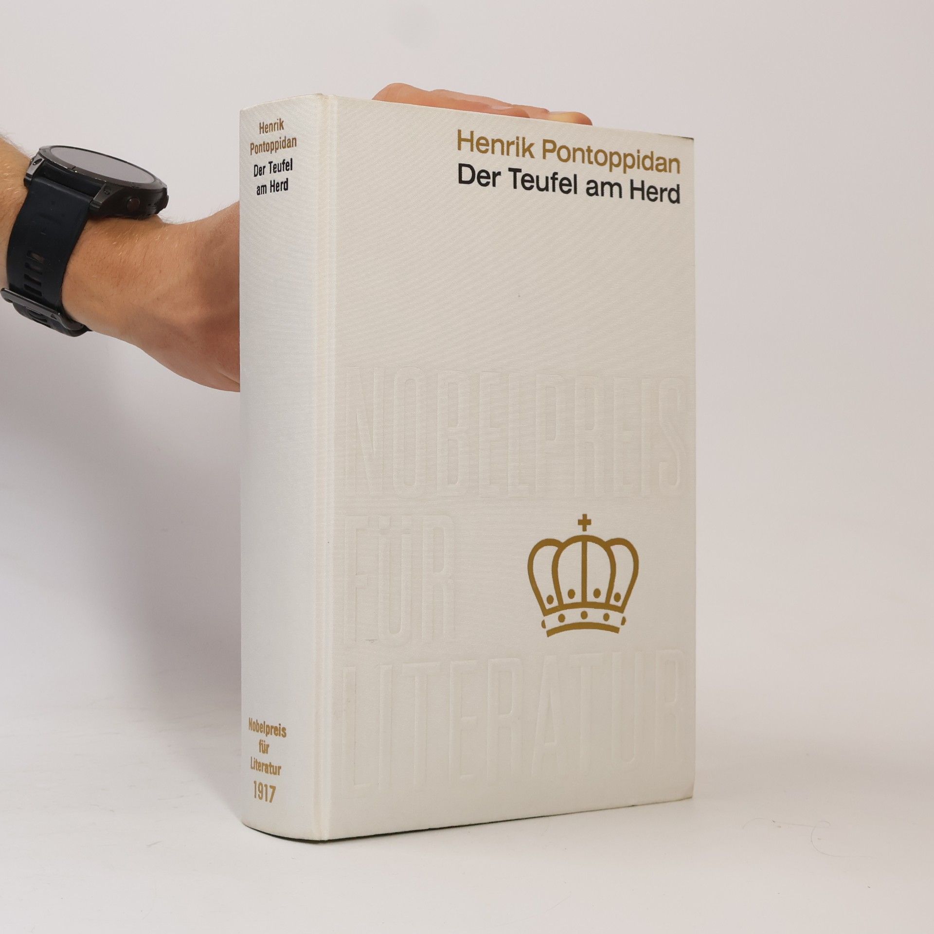 Henrik Pontoppidan Der Teufel am Herd