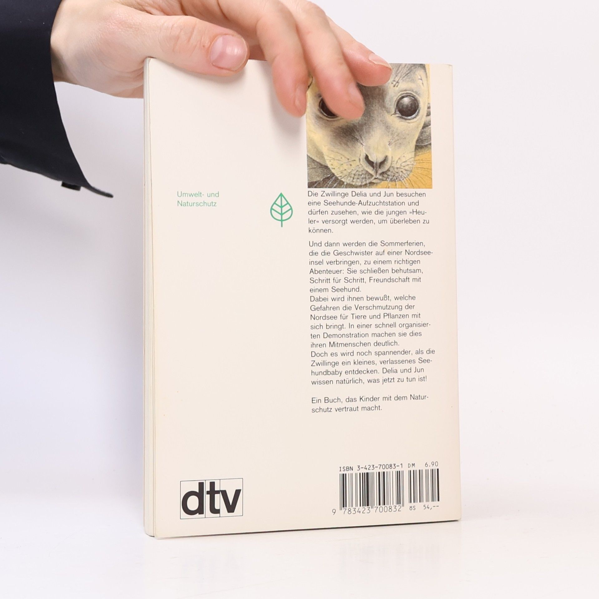 Dieuwke Winsemius Das Findelkind vom Watt