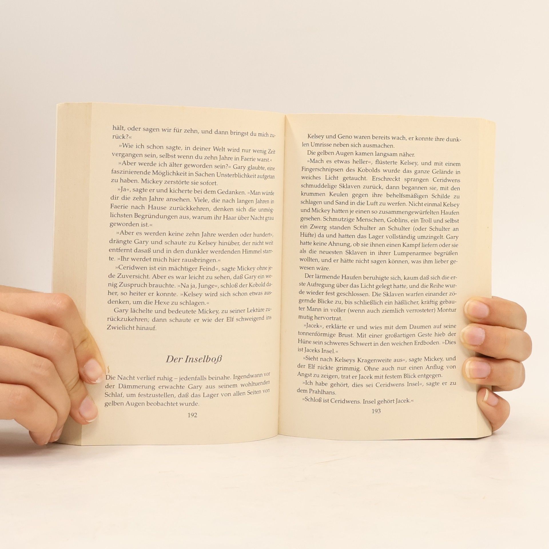 R. A. Salvatore Der Speer des Kriegers