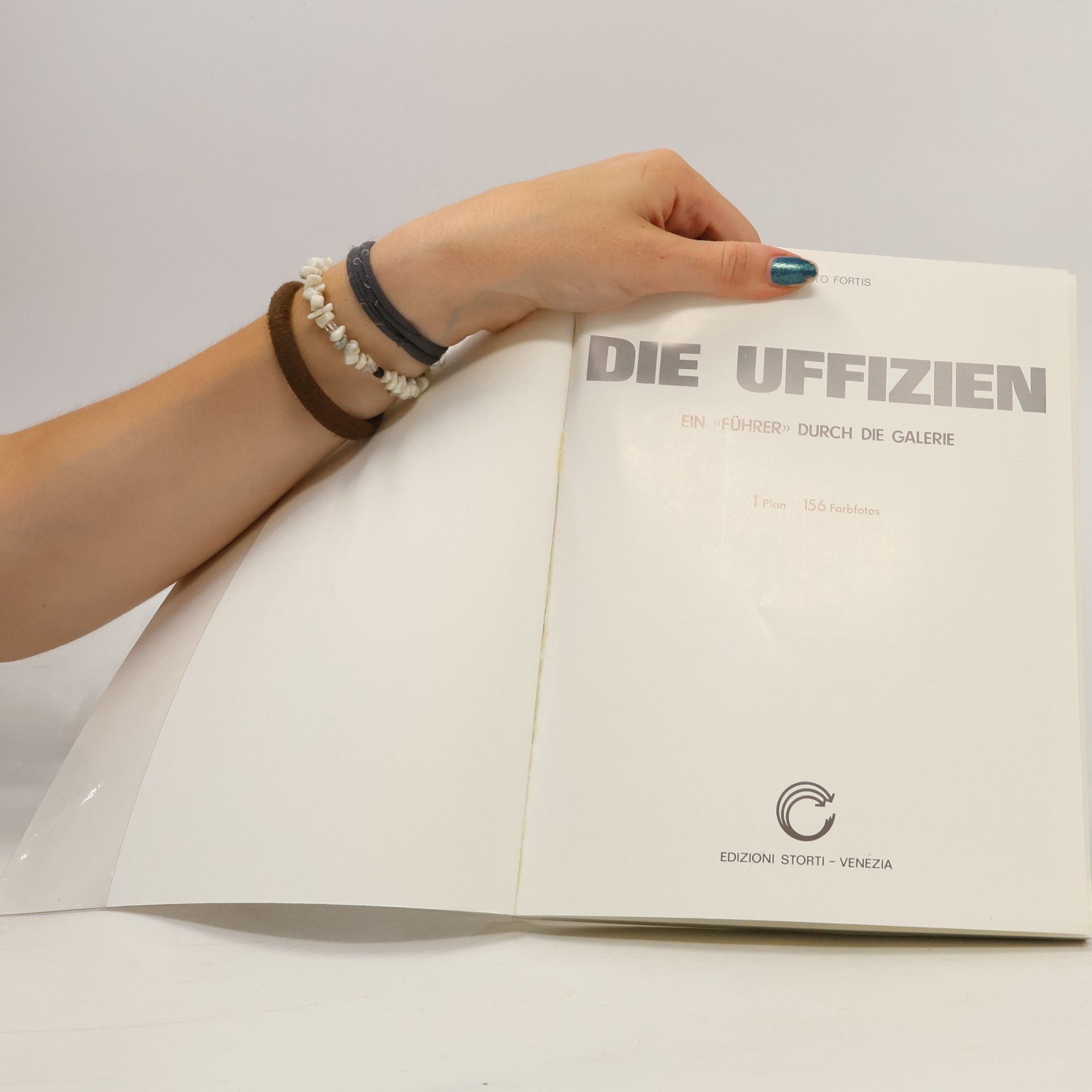 Umberto Fortis Die Uffizien. Ein "Führer" durch die Galerie