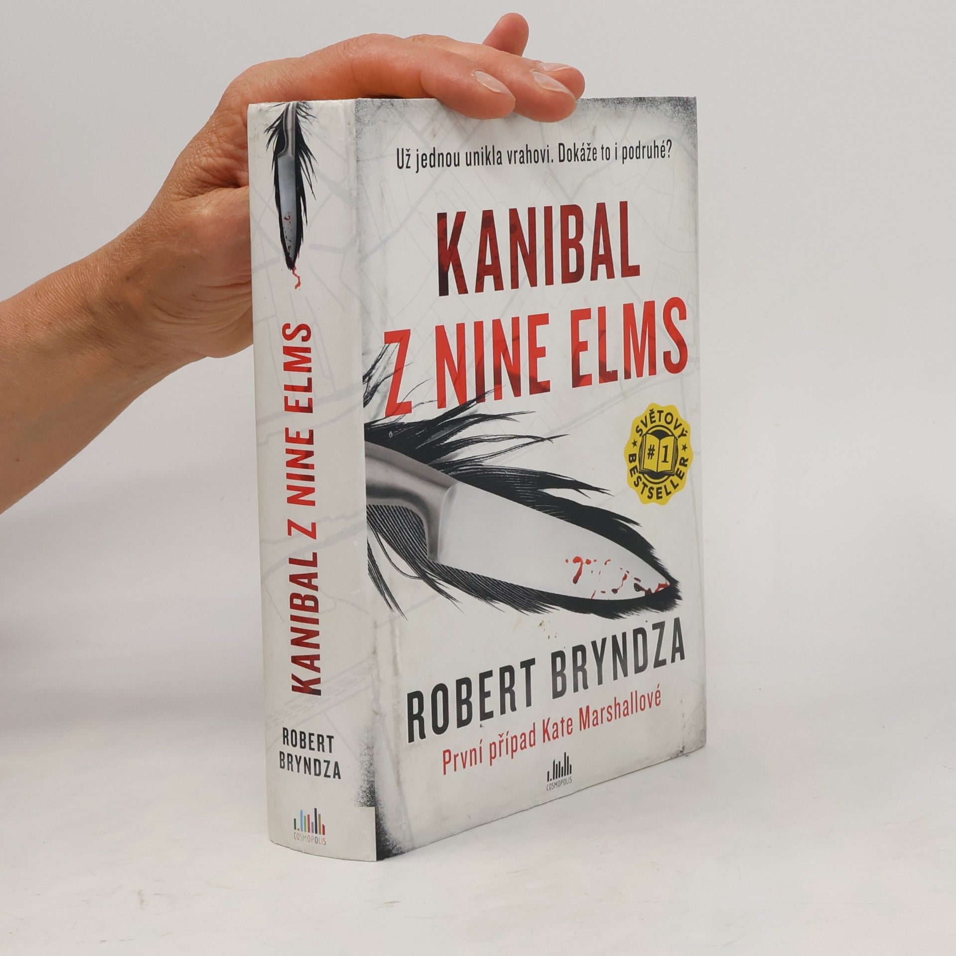 Robert Bryndza Kanibal z Nine Elms