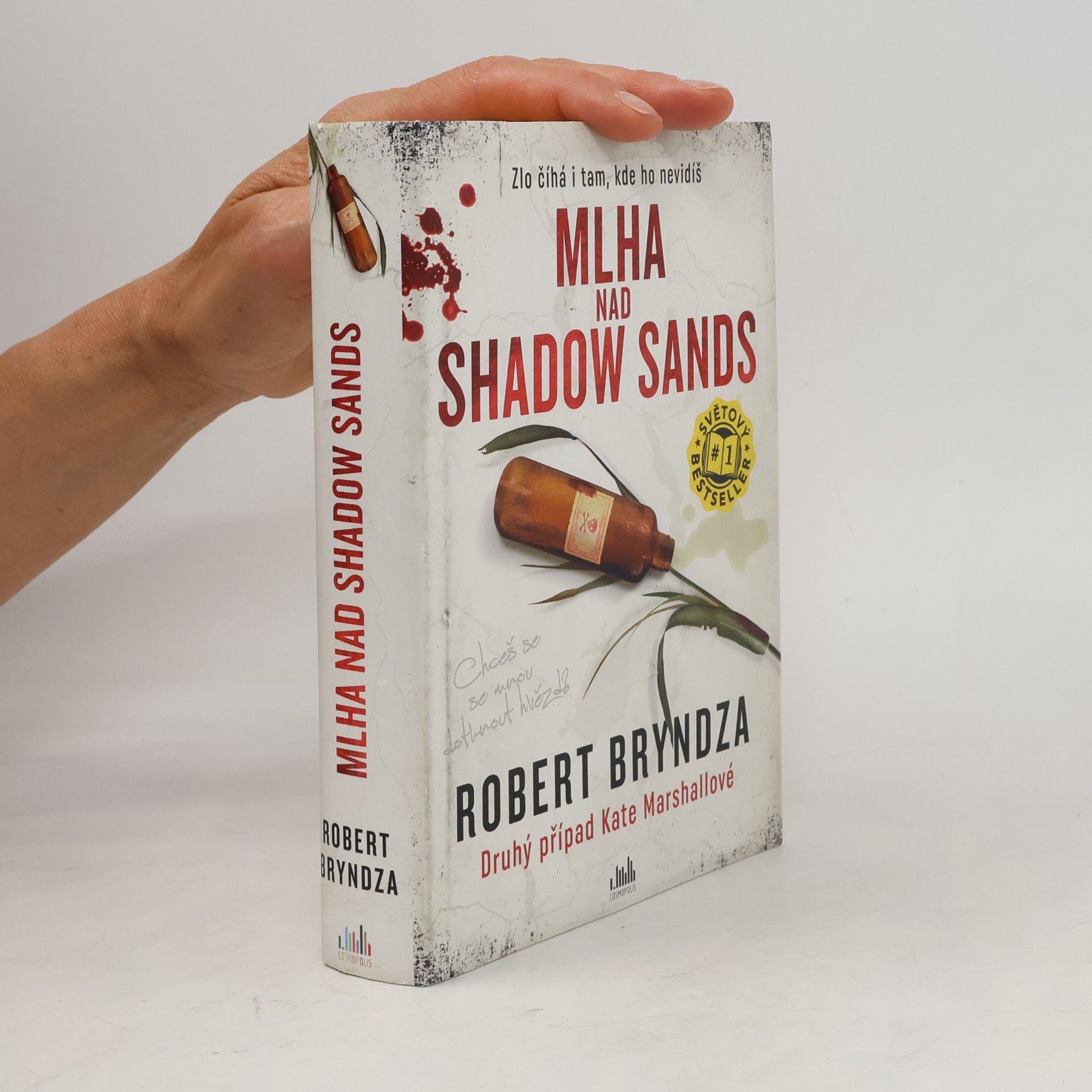 Robert Bryndza Mlha nad Shadow Sands