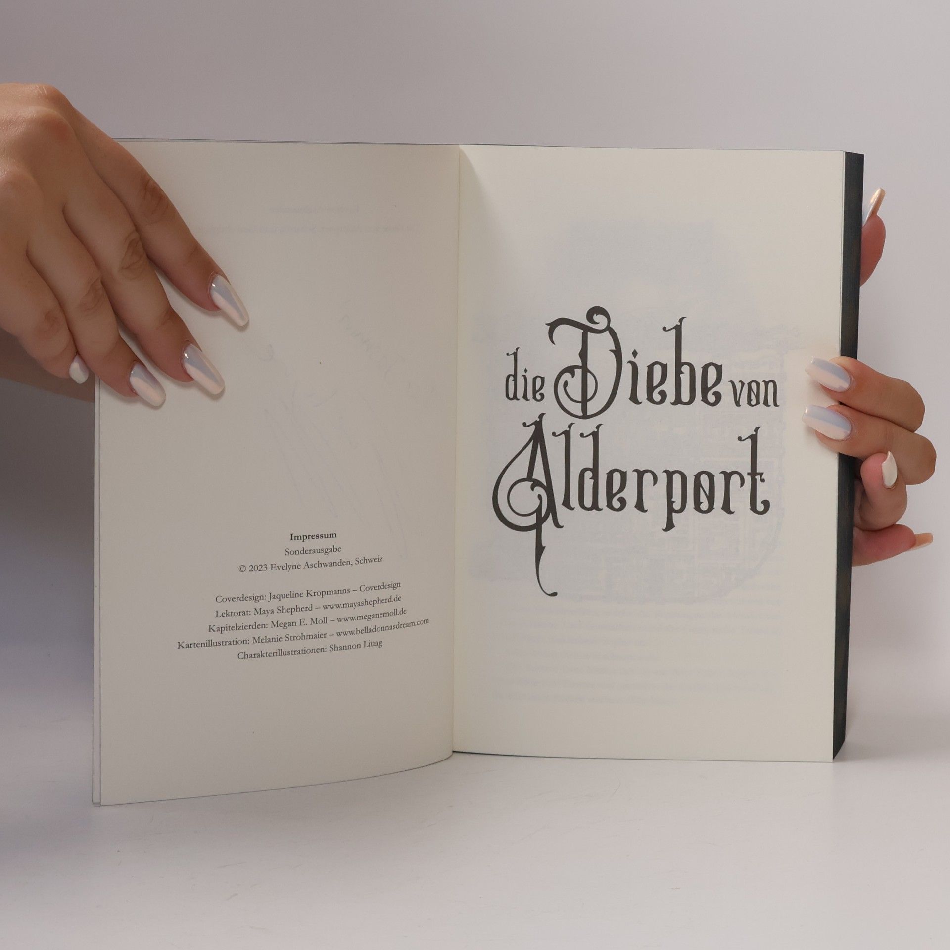 Evelyne Aschwanden Die Diebe von Alderport