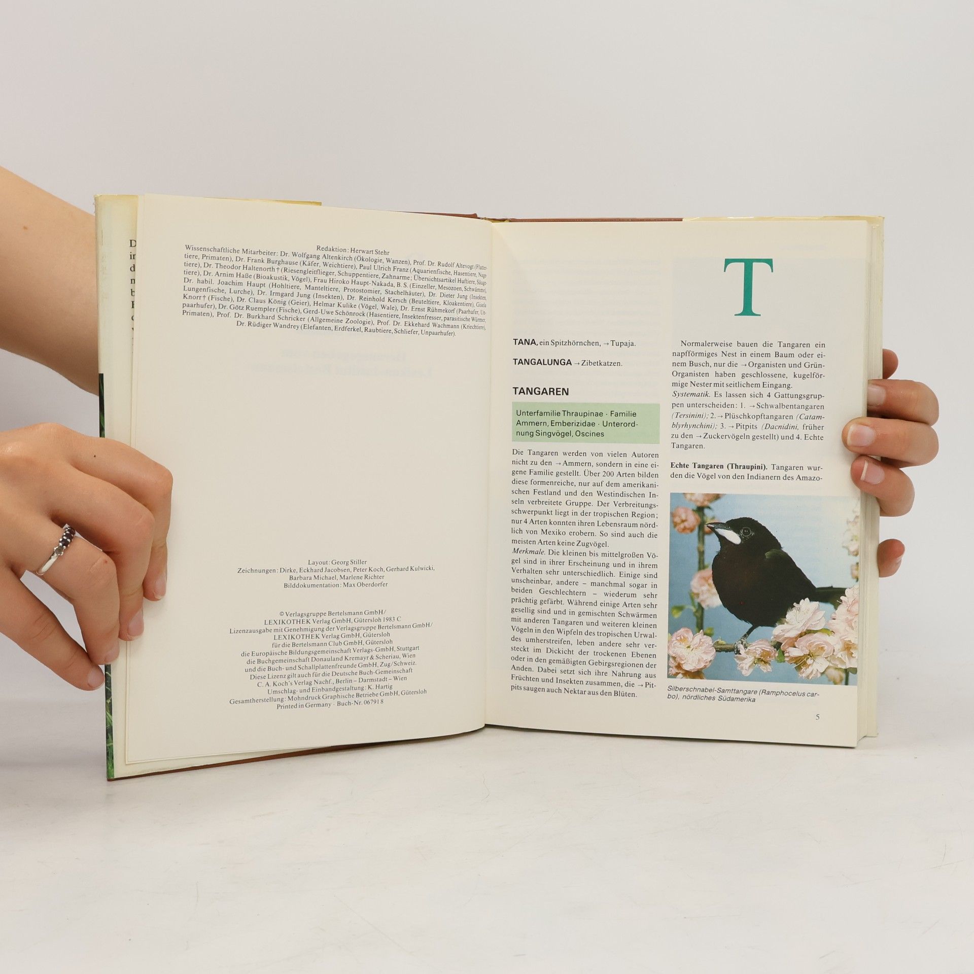 Autorenkollektiv Das moderne Tierlexikon 11. Tan-Webe