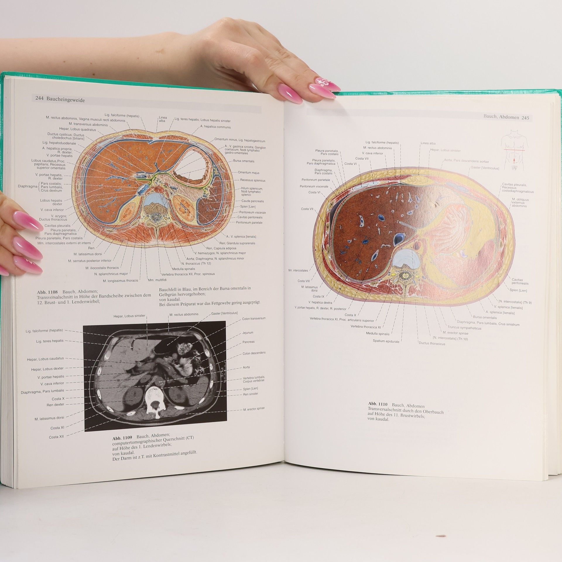 Johannes Sobotta Sobotta. Atlas der Anatomie des Menschen. Band 2
