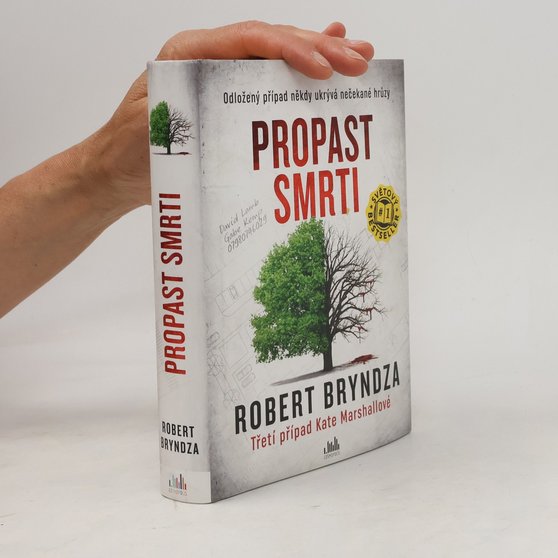 Robert Bryndza Propast smrti
