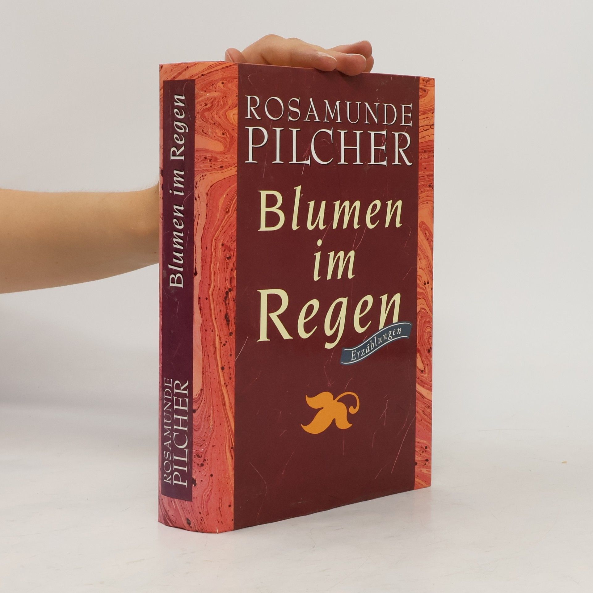 Rosamunde Pilcher Blumen im Regen