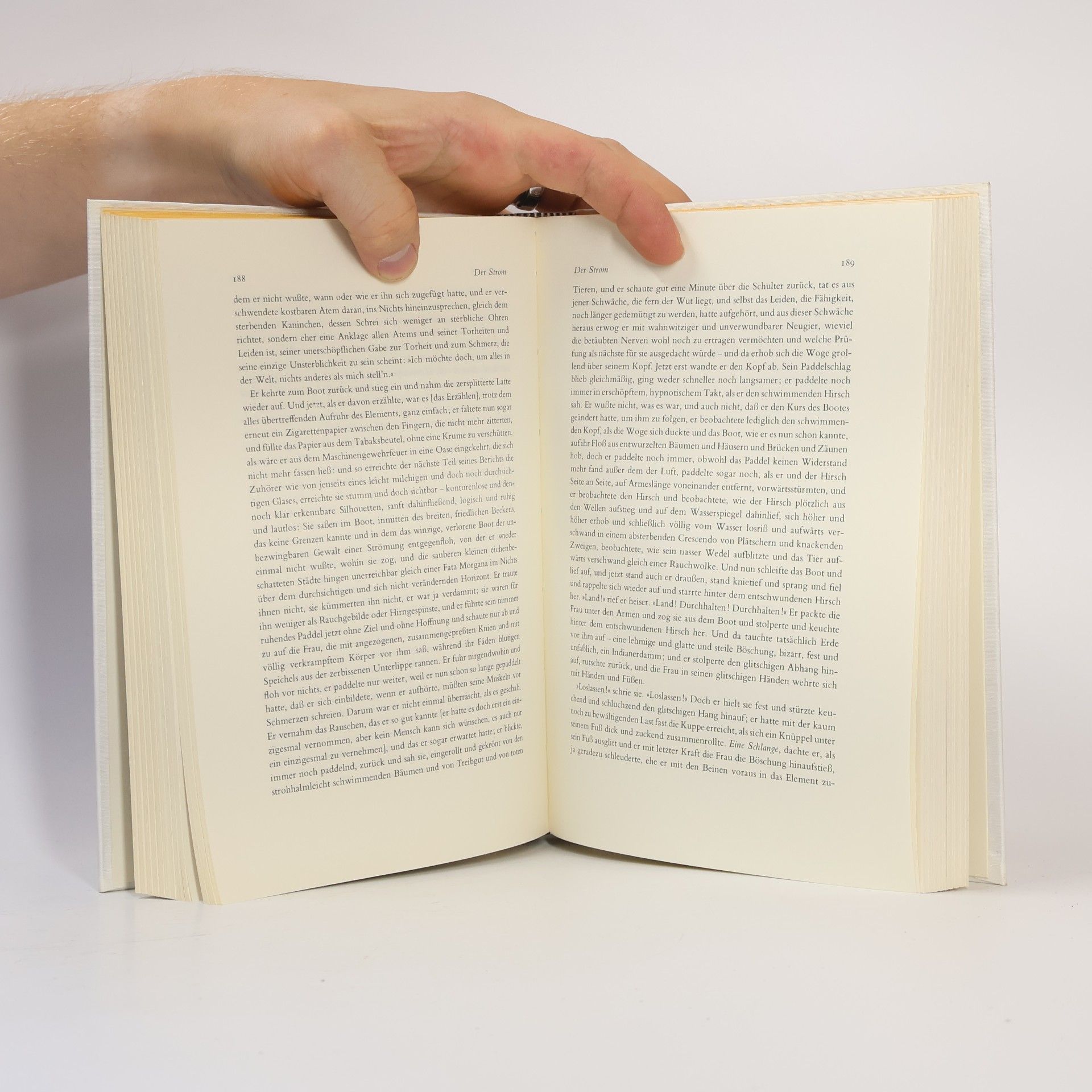 William Faulkner Wilde Palmen und Der Strom
