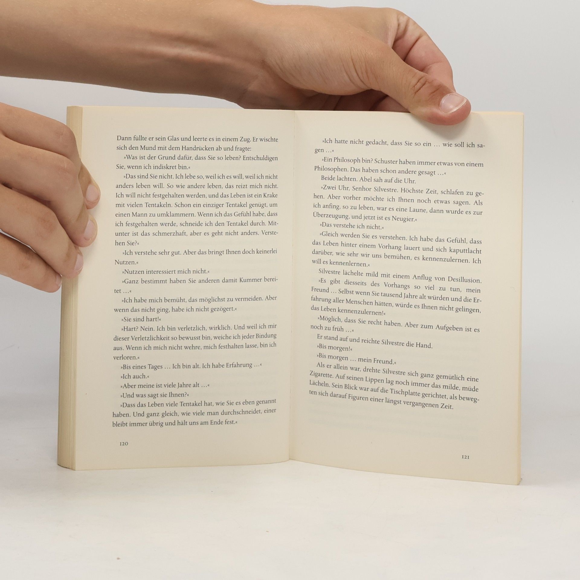 José Saramago Claraboia oder Wo das Licht einfällt