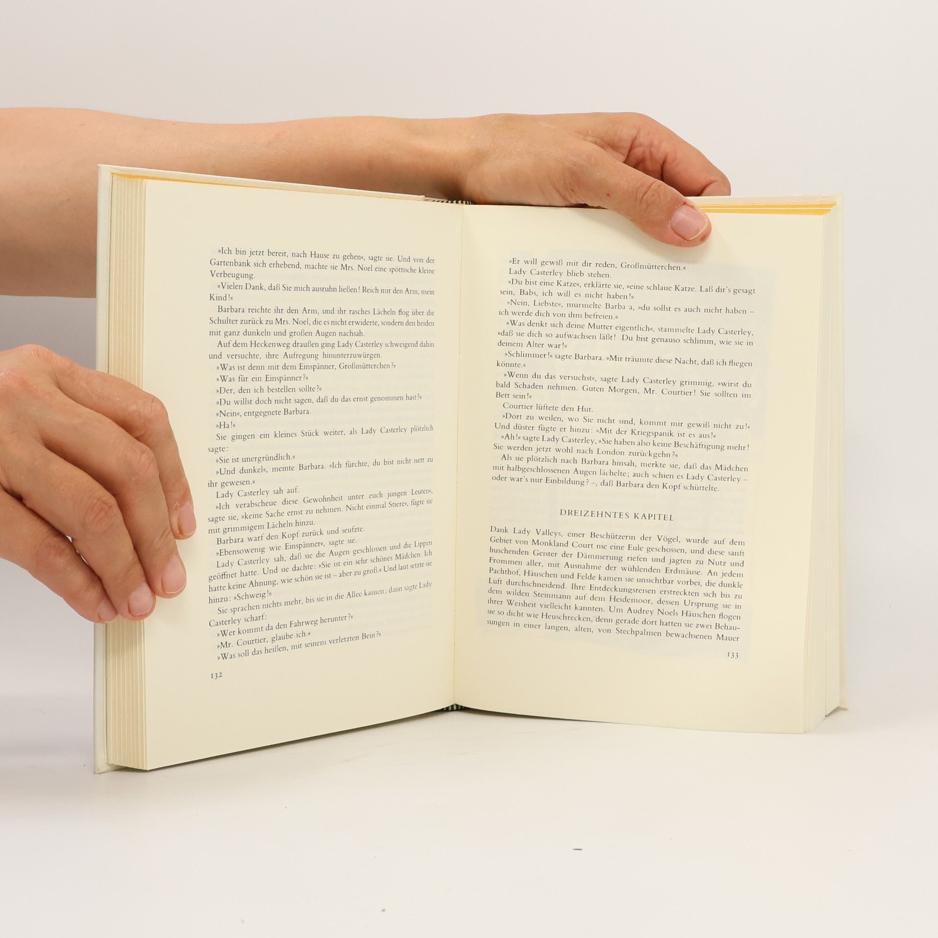 John Galsworthy Der Patrizier