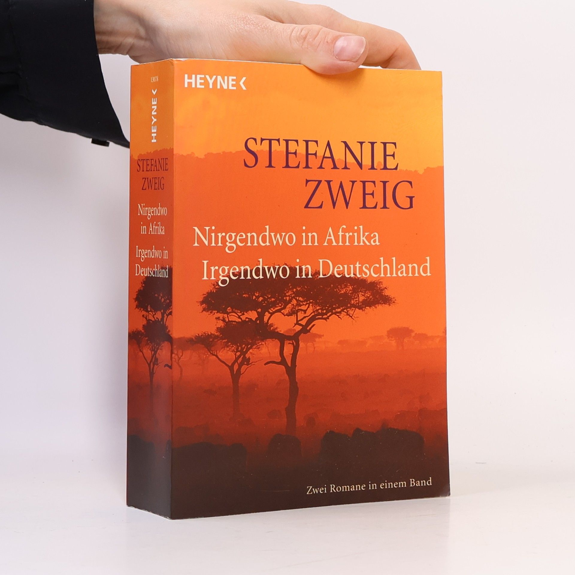 Stefanie Zweig Nirgendwo in Afrika