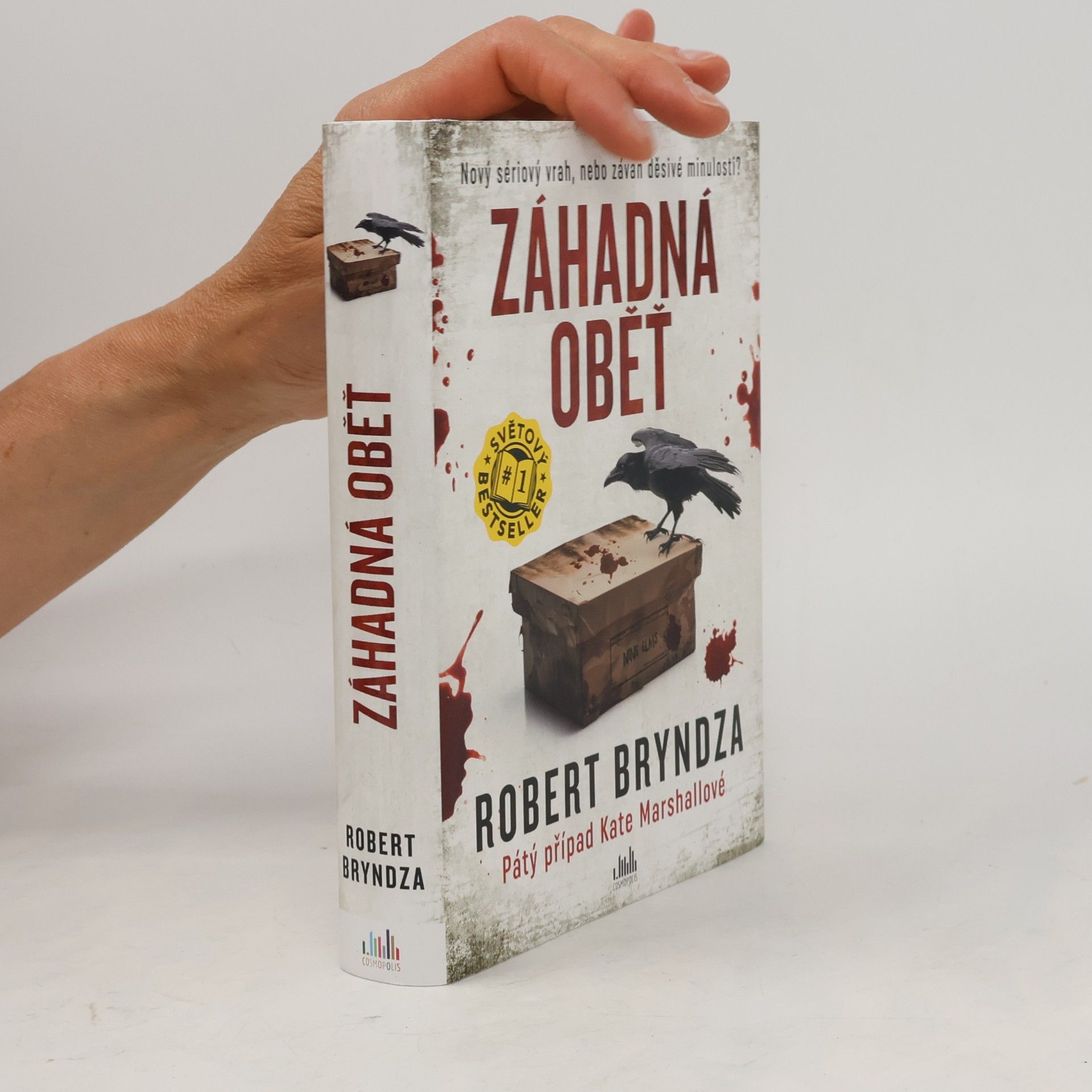 Robert Bryndza Záhadná oběť