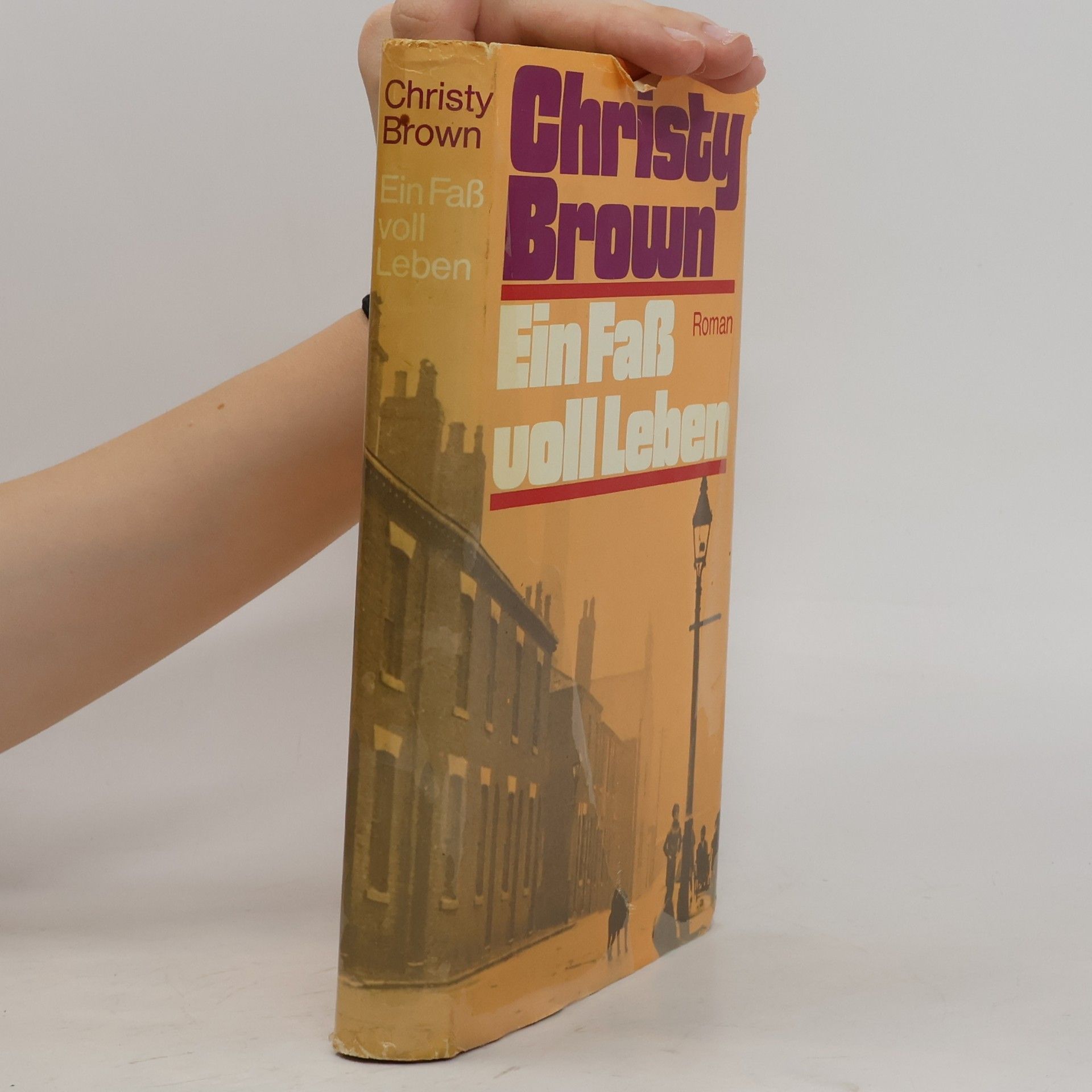 Christy Brown Ein Fass voll Leben