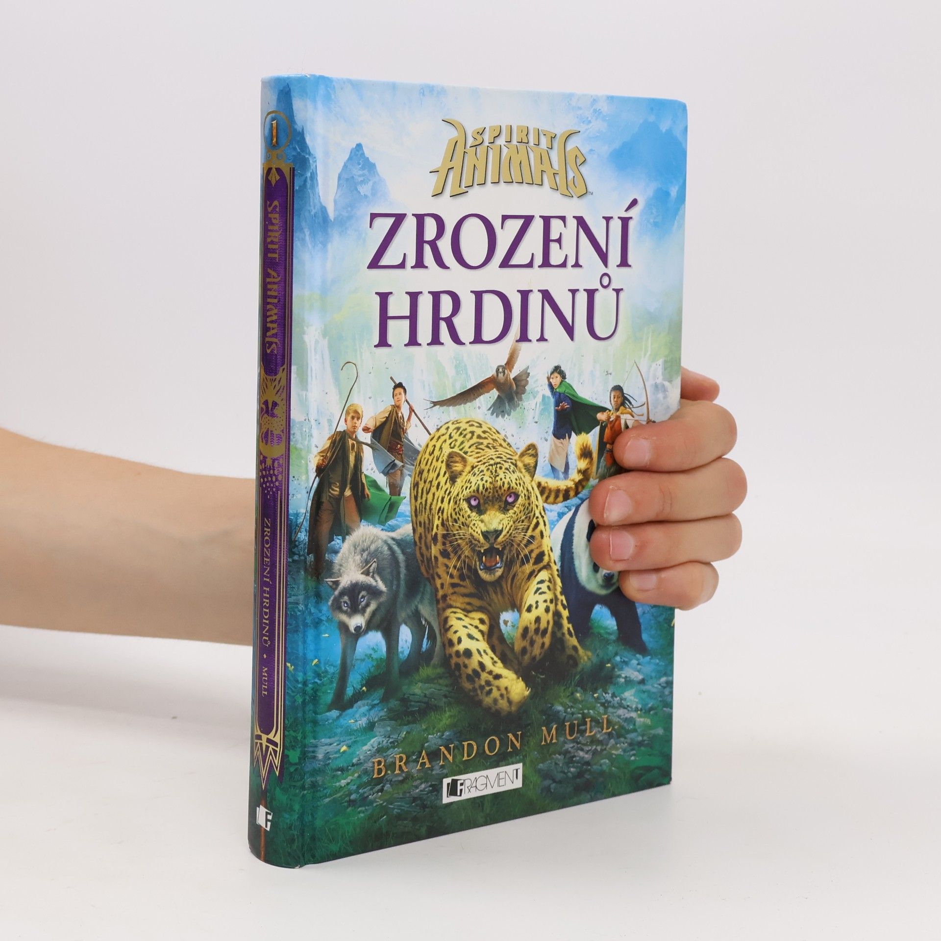 Brandon Mull Zrození hrdinů