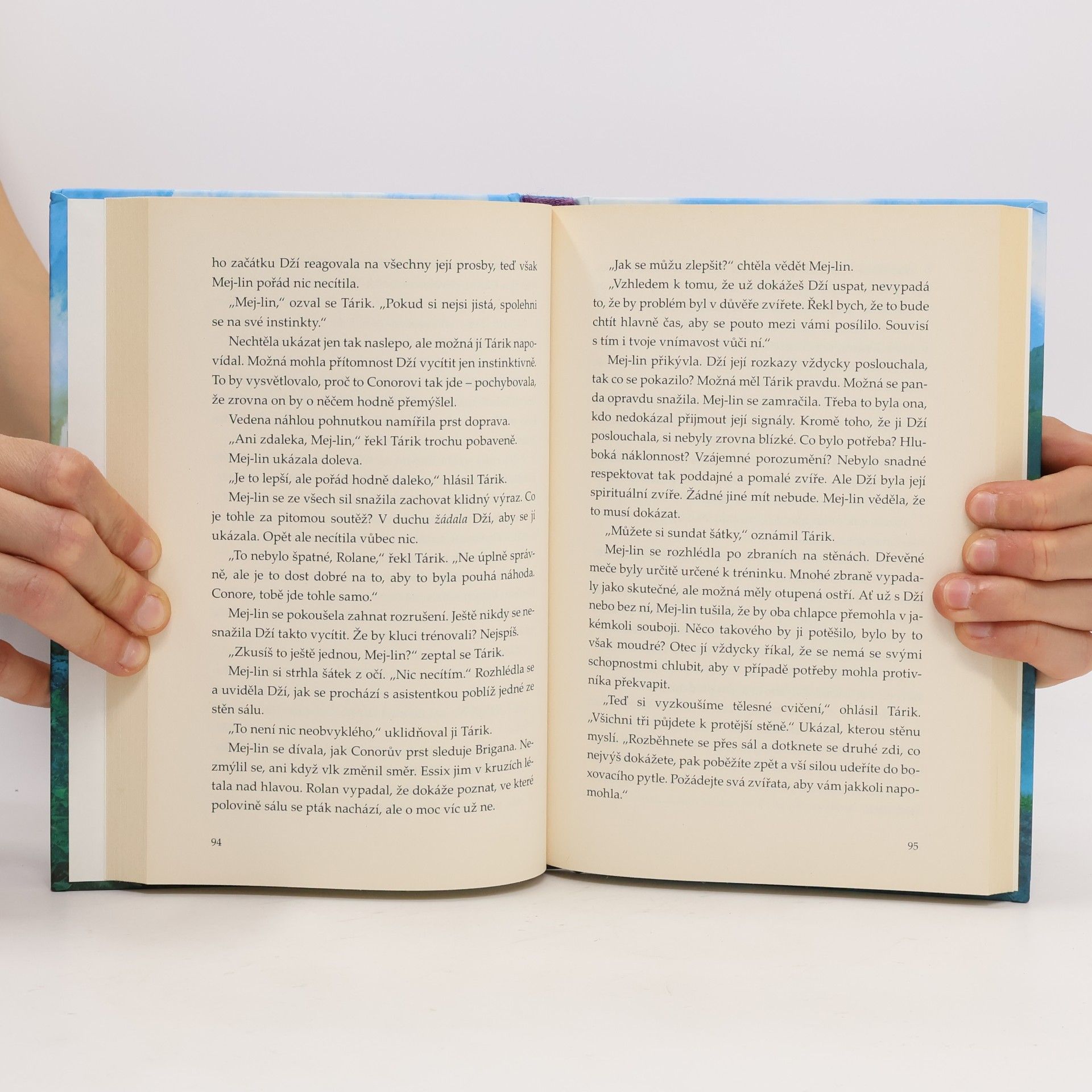 Brandon Mull Zrození hrdinů