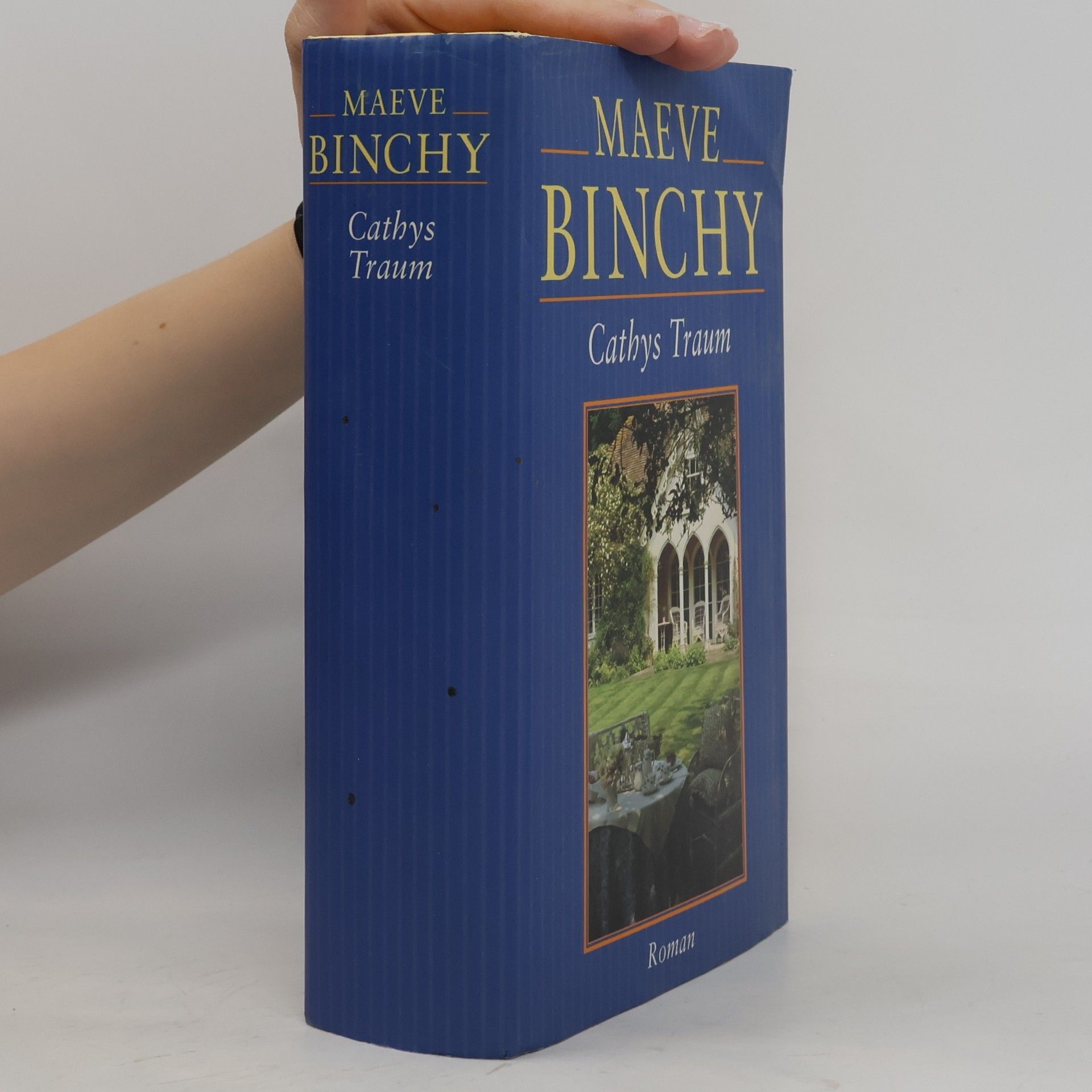 Maeve Binchy Cathys Traum