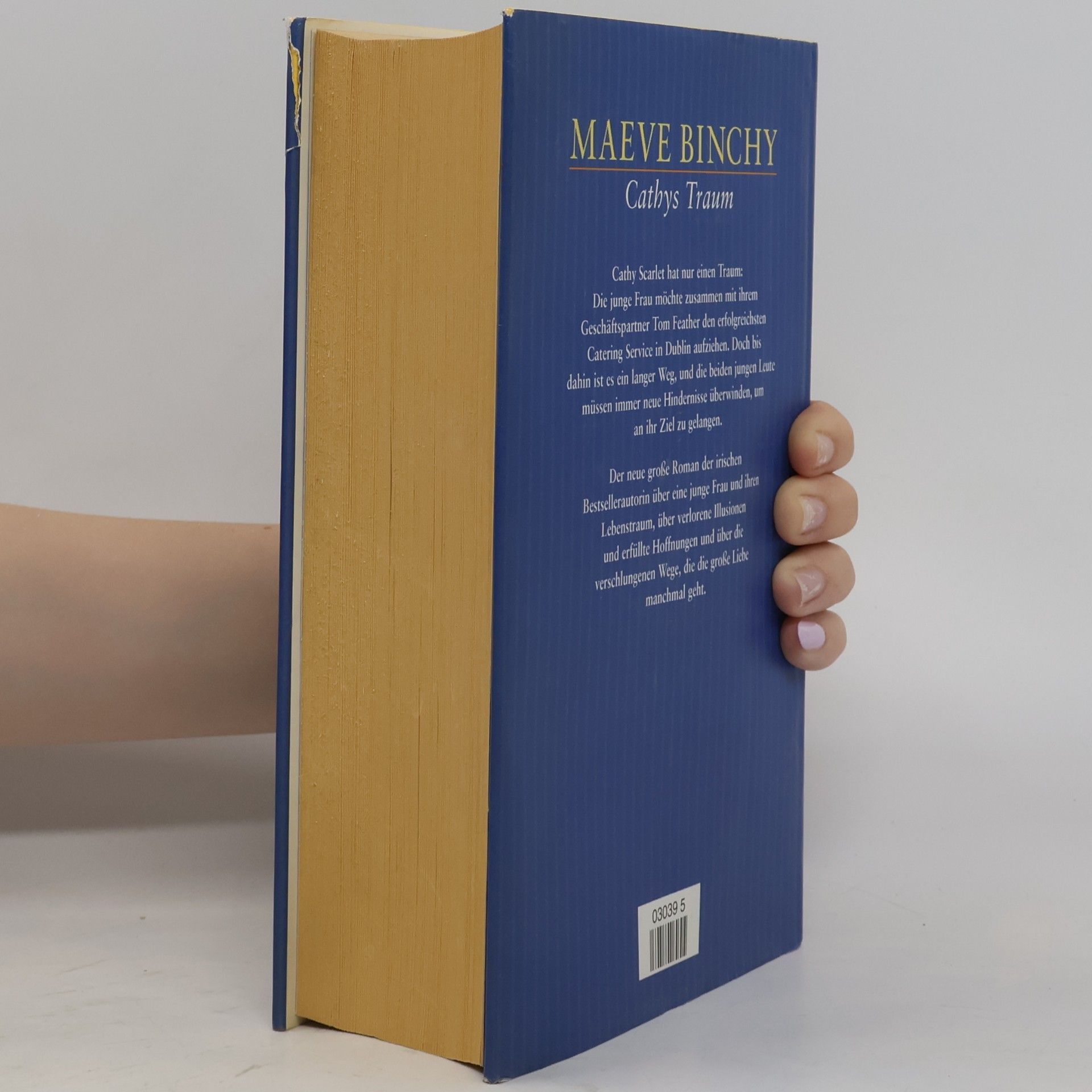 Maeve Binchy Cathys Traum