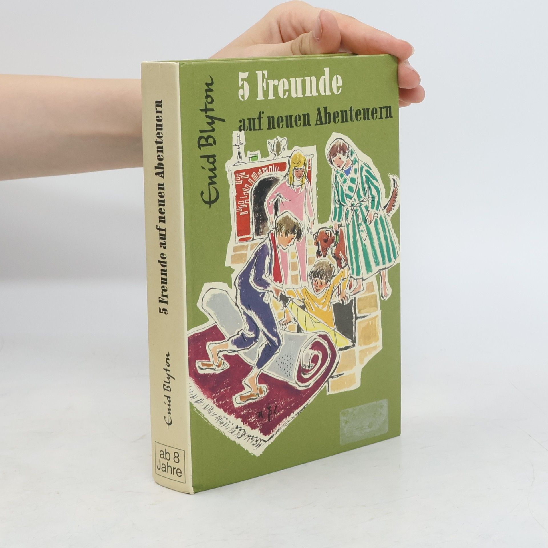 Enid Blyton 5 Freunde auf neuen Abenteuern